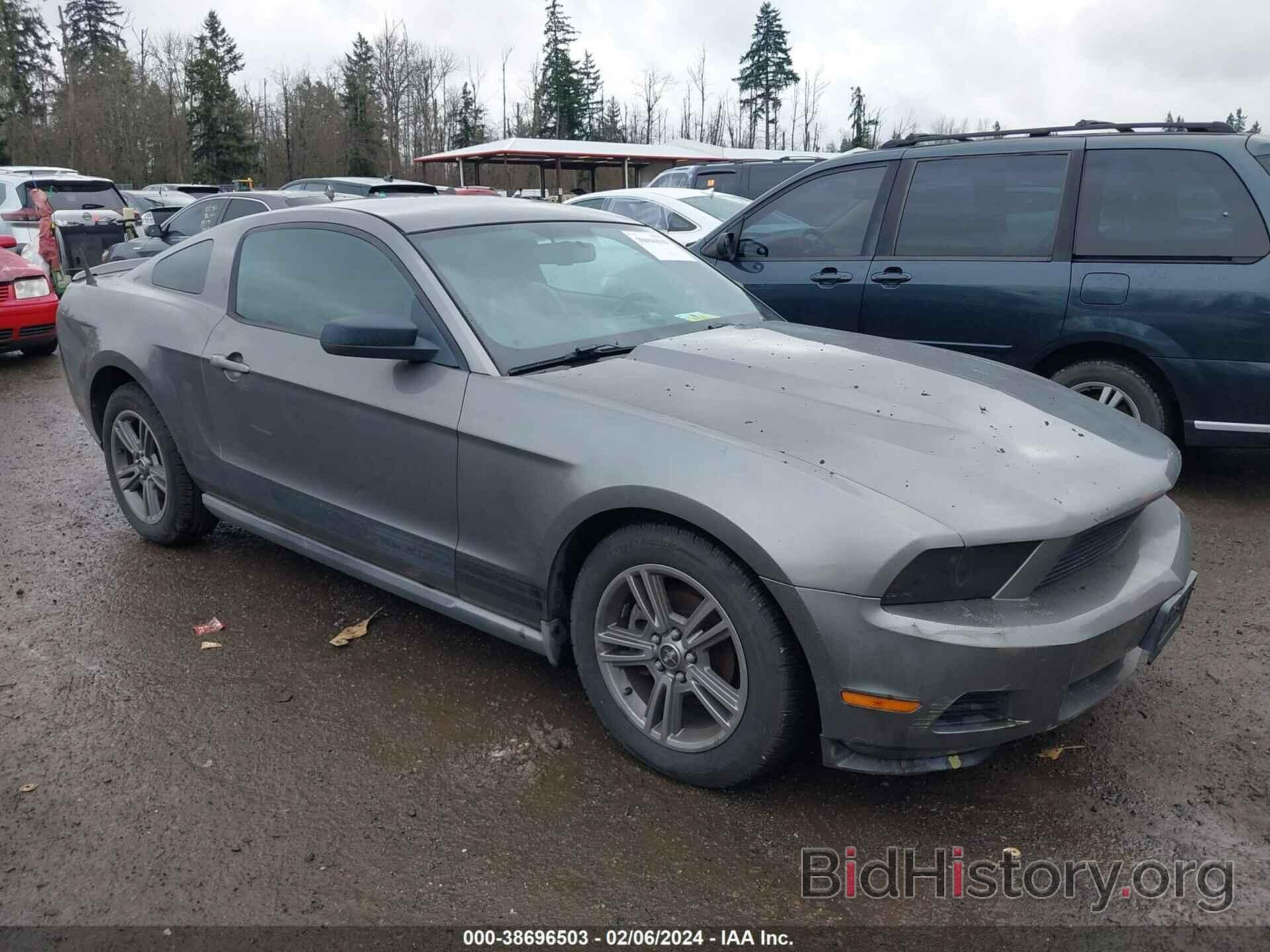 Photo 1ZVBP8AN6A5108816 - FORD MUSTANG 2010