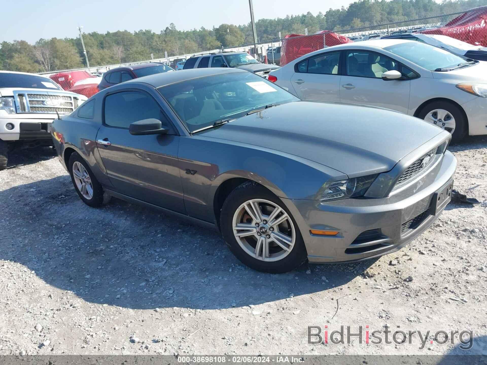 Photo 1ZVBP8AM6E5249270 - FORD MUSTANG 2014