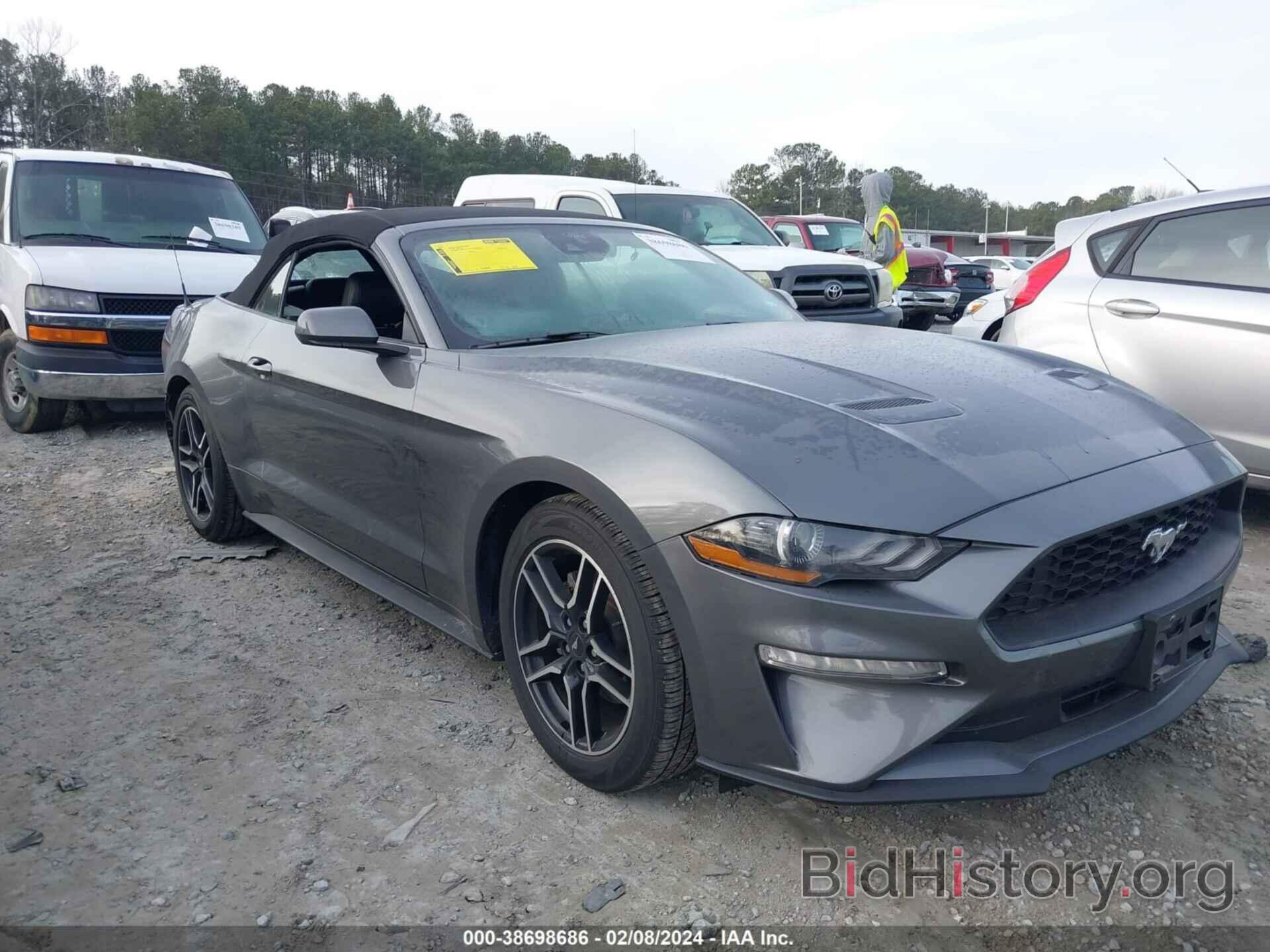 Photo 1FATP8UH4P5100516 - FORD MUSTANG 2023