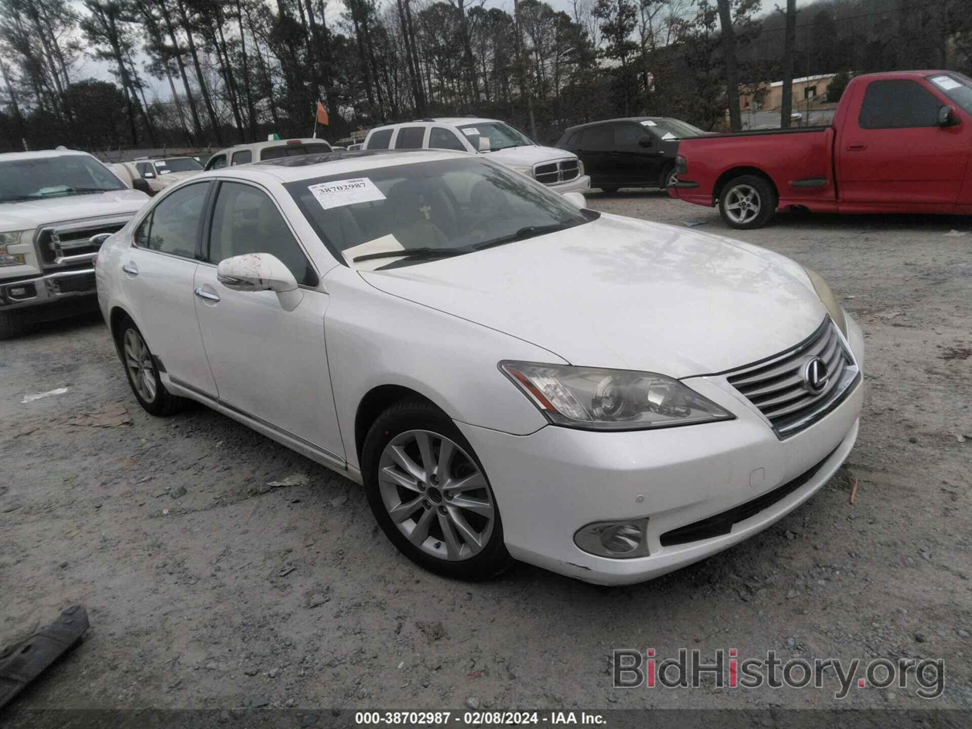 Фотография JTHBK1EG1A2350546 - LEXUS ES 350 2010