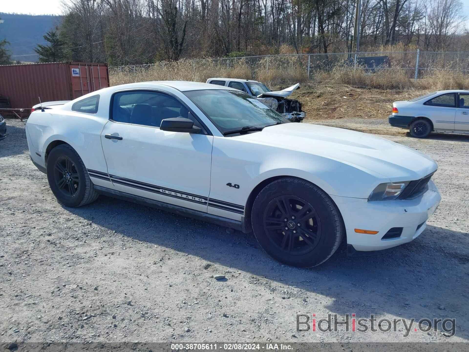 Photo 1ZVBP8AN1A5106570 - FORD MUSTANG 2010