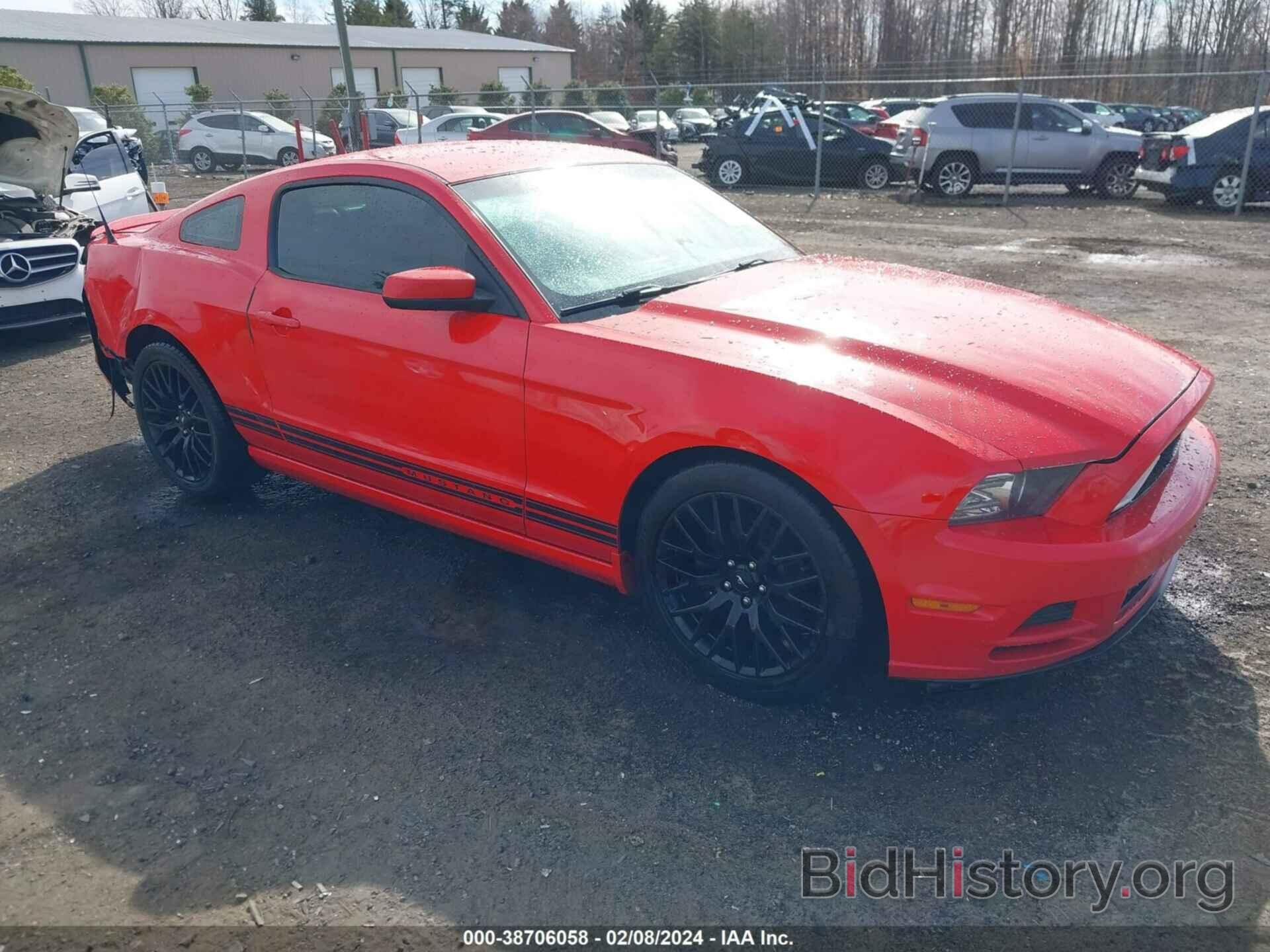 Фотография 1ZVBP8AM2E5210711 - FORD MUSTANG 2014