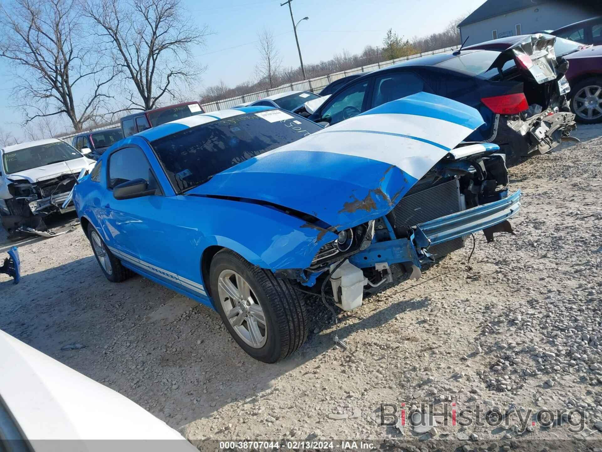 Photo 1ZVBP8AM2D5210531 - FORD MUSTANG 2013