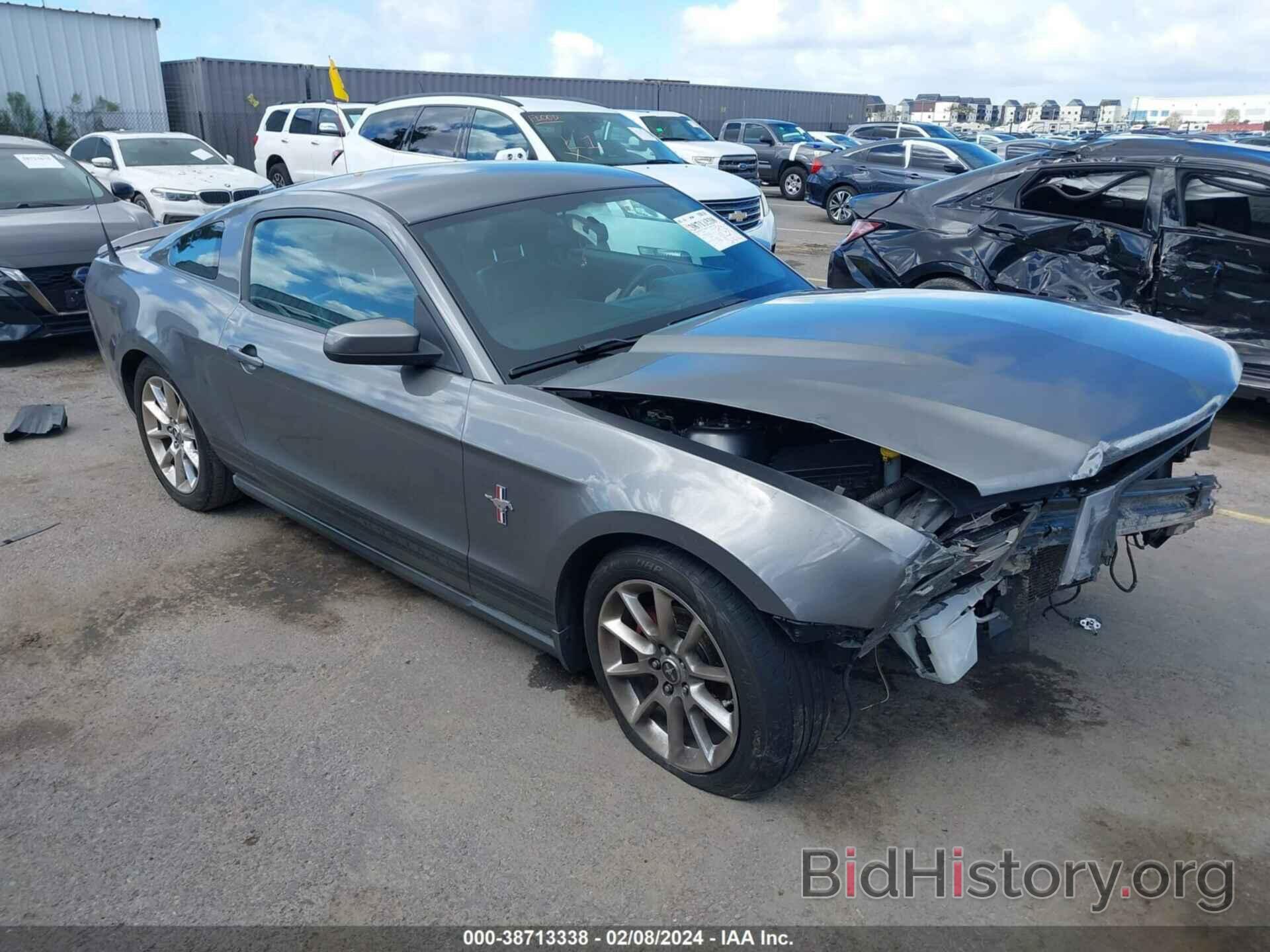 Photo 1ZVBP8AN8A5105139 - FORD MUSTANG 2010