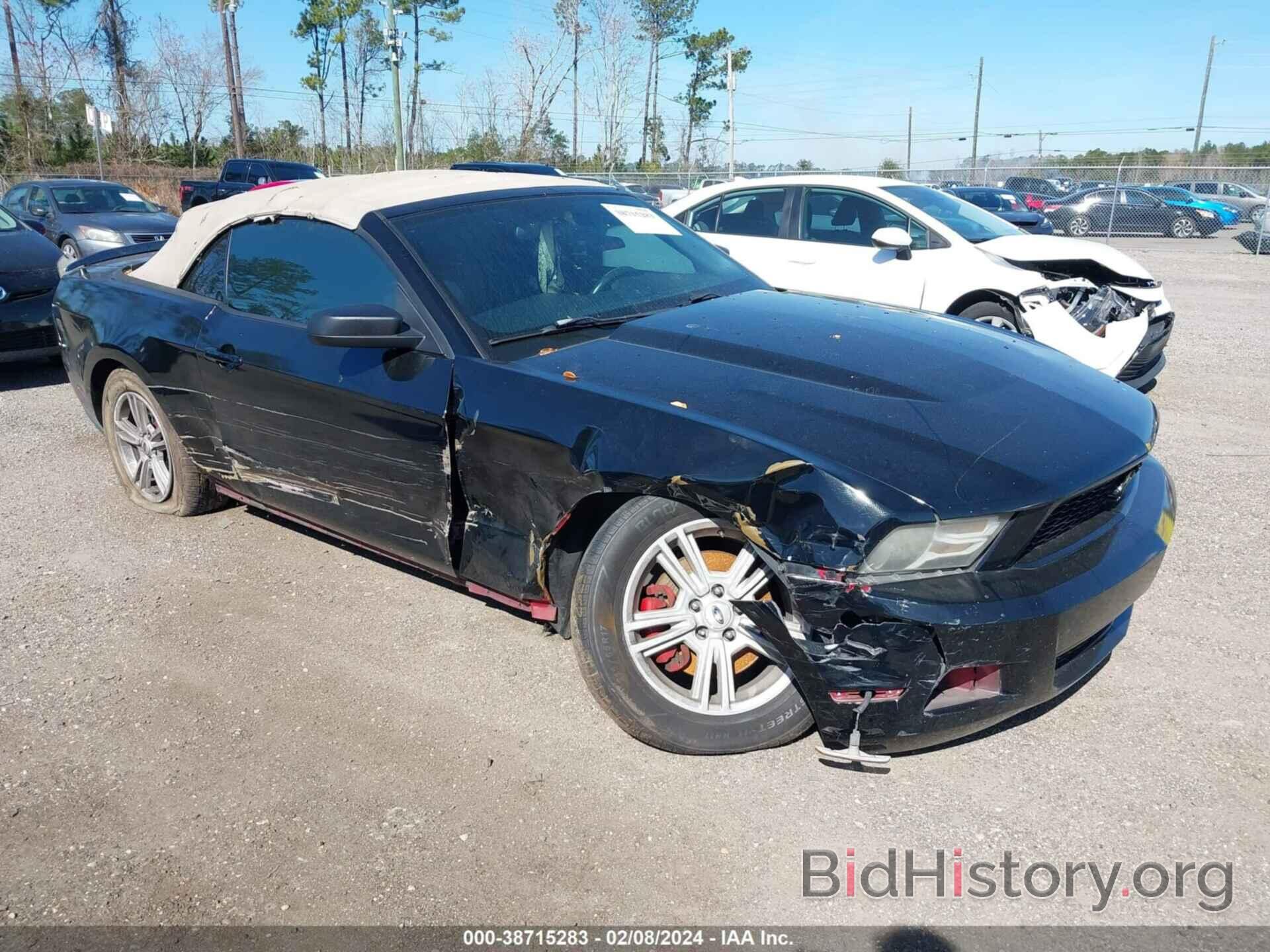 Photo 1ZVBP8EMXC5212567 - FORD MUSTANG 2012