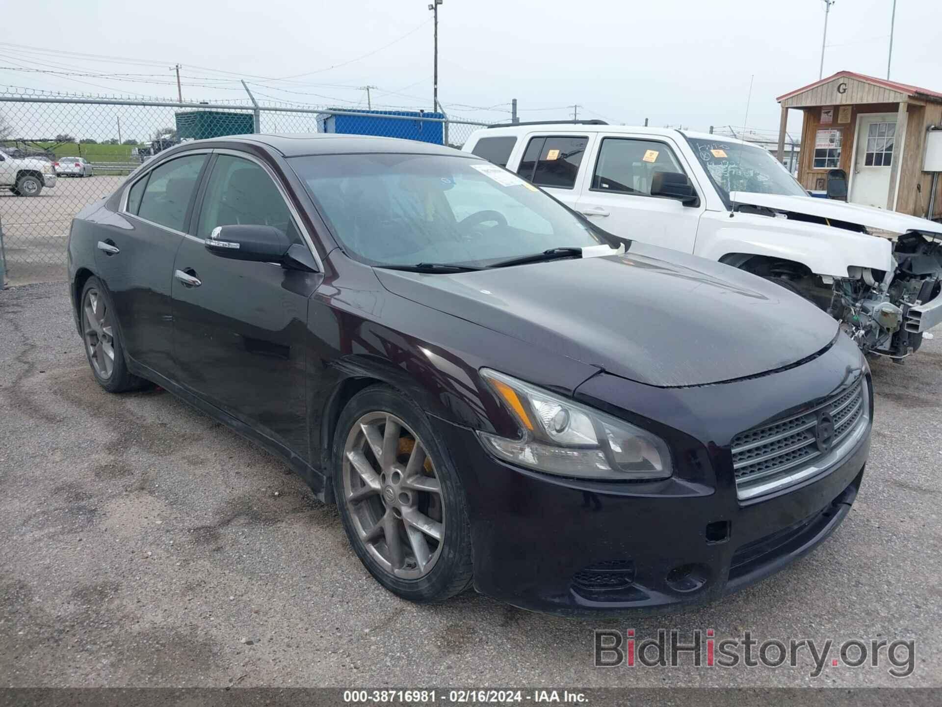 Photo 1N4AA5AP9BC833507 - NISSAN MAXIMA 2011