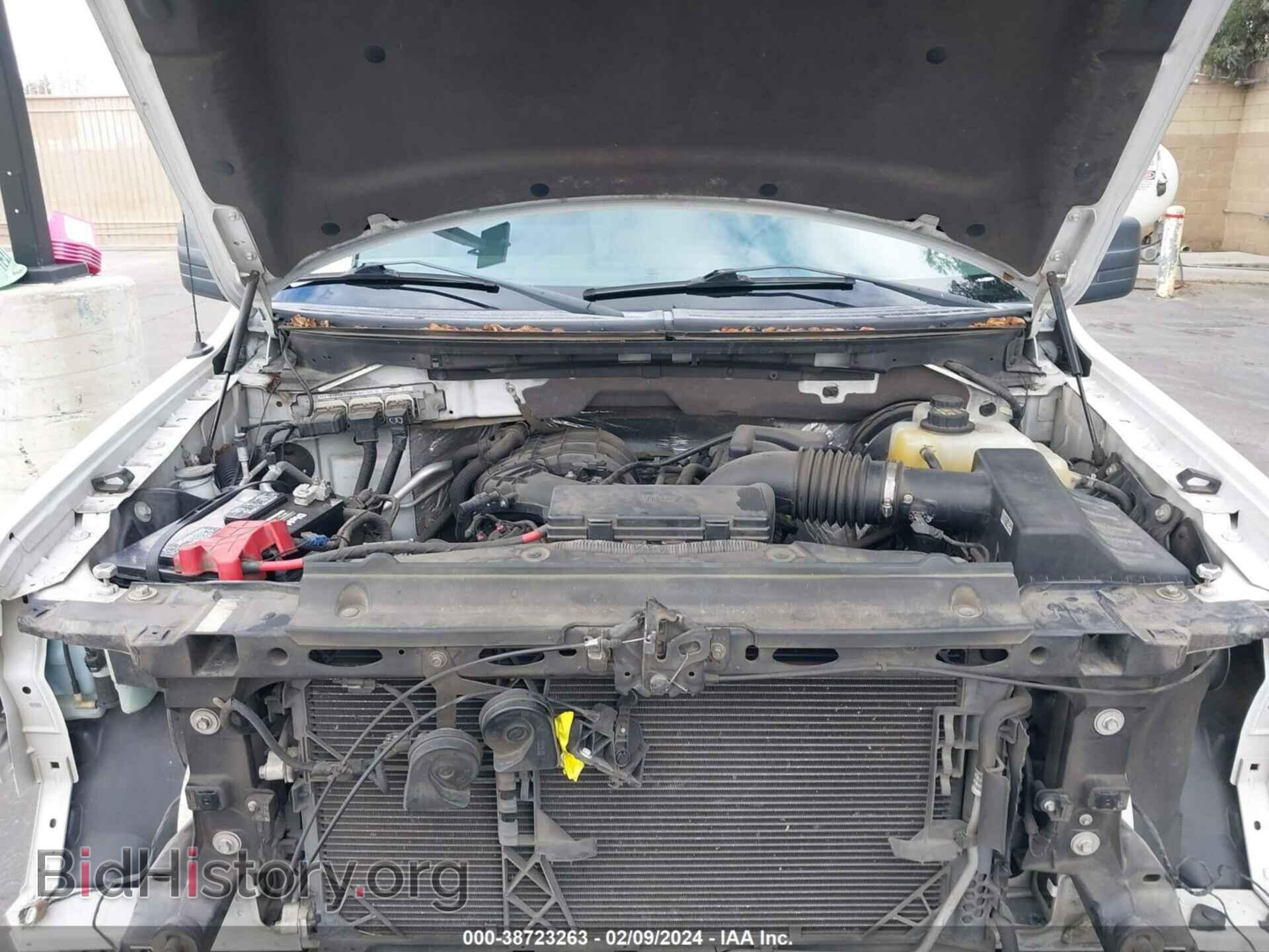 2013 FORD F-150 - VIN: 1FTMF1CM2DKF72623 - Фото 10