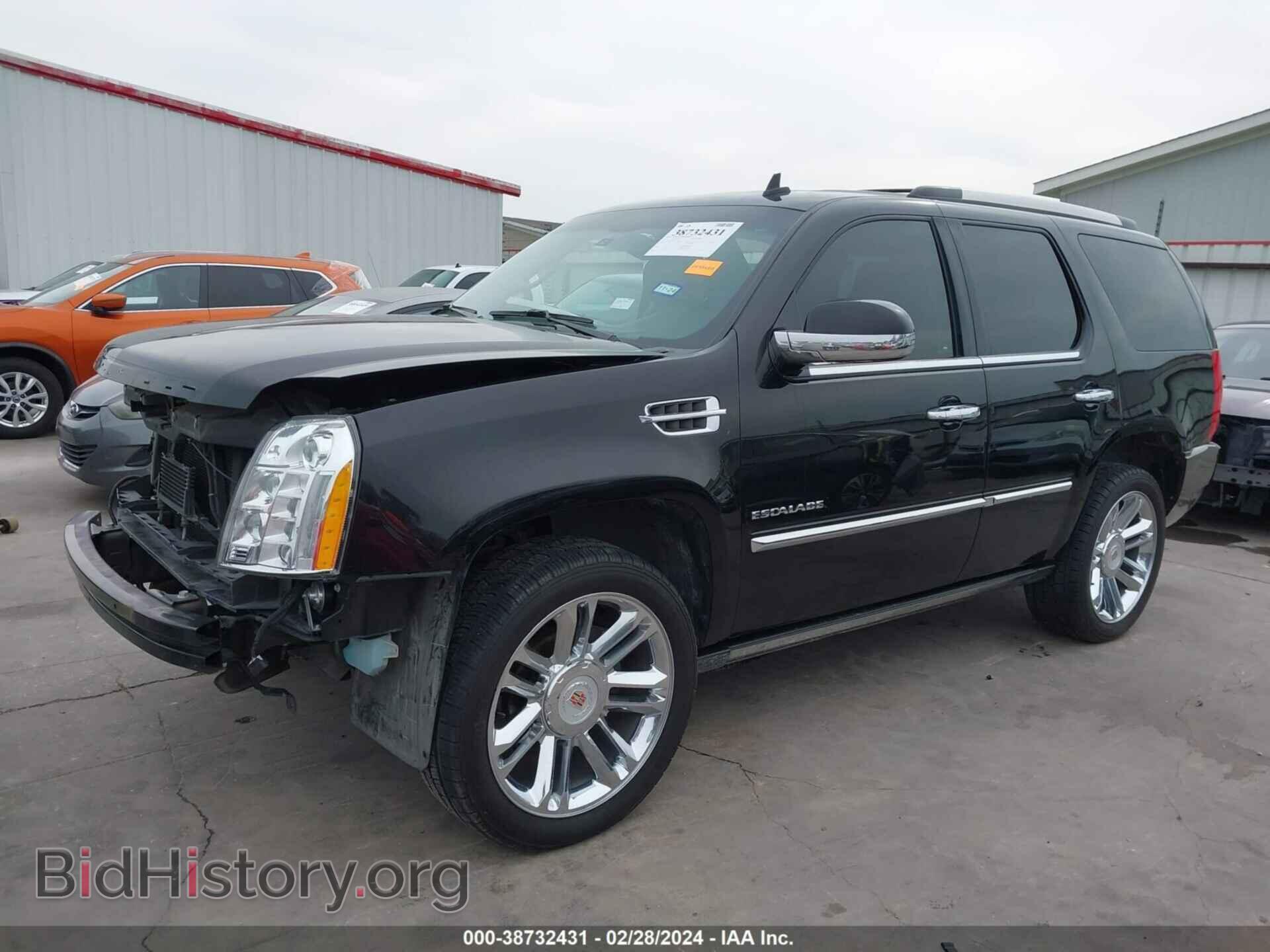 2013 CADILLAC ESCALADE - VIN: 1GYS3DEF3DR292307 - Фото 2