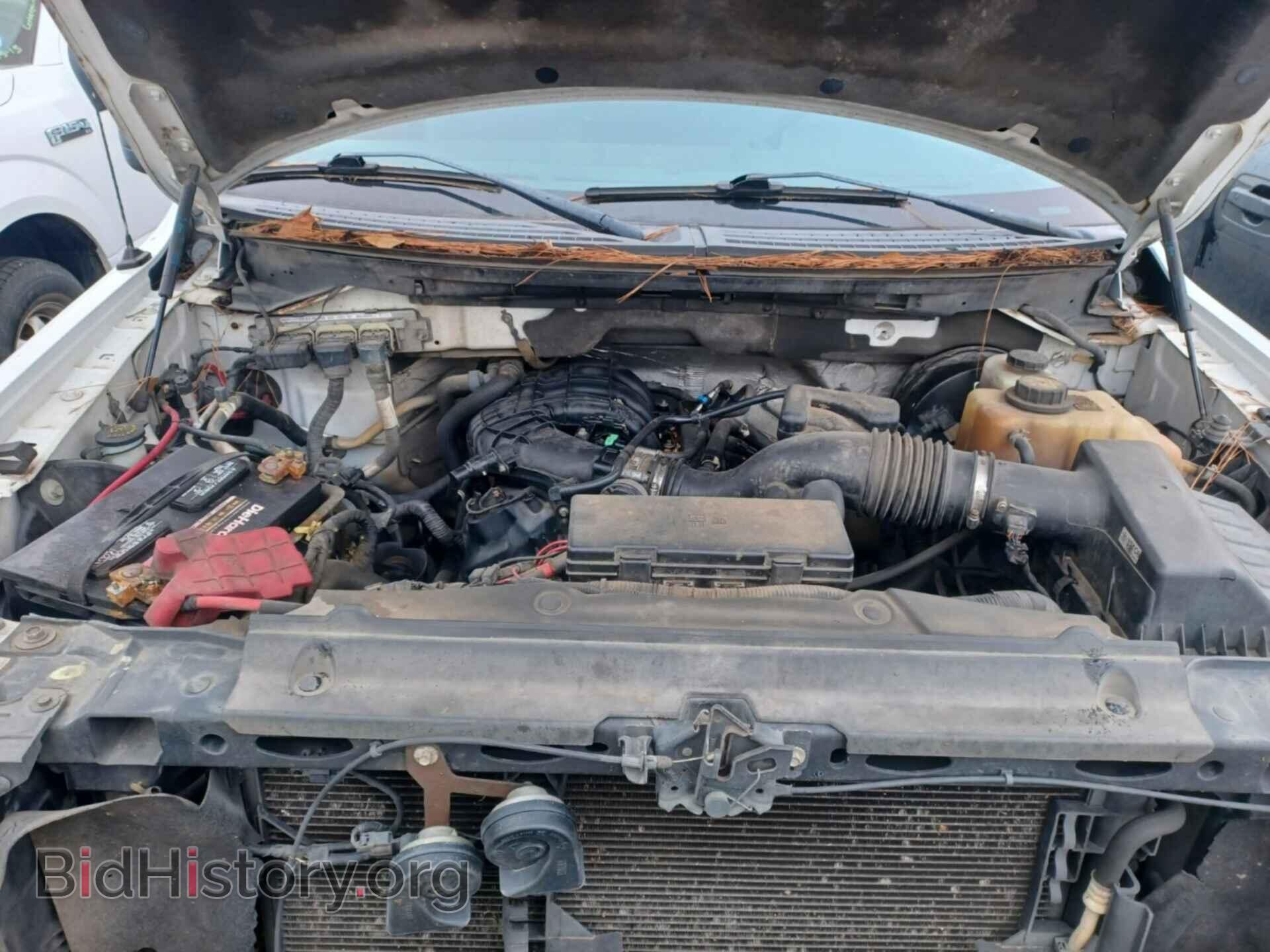 2013 FORD F-150 - VIN: 1FTEX1CM3DFB38799 - Фото 8