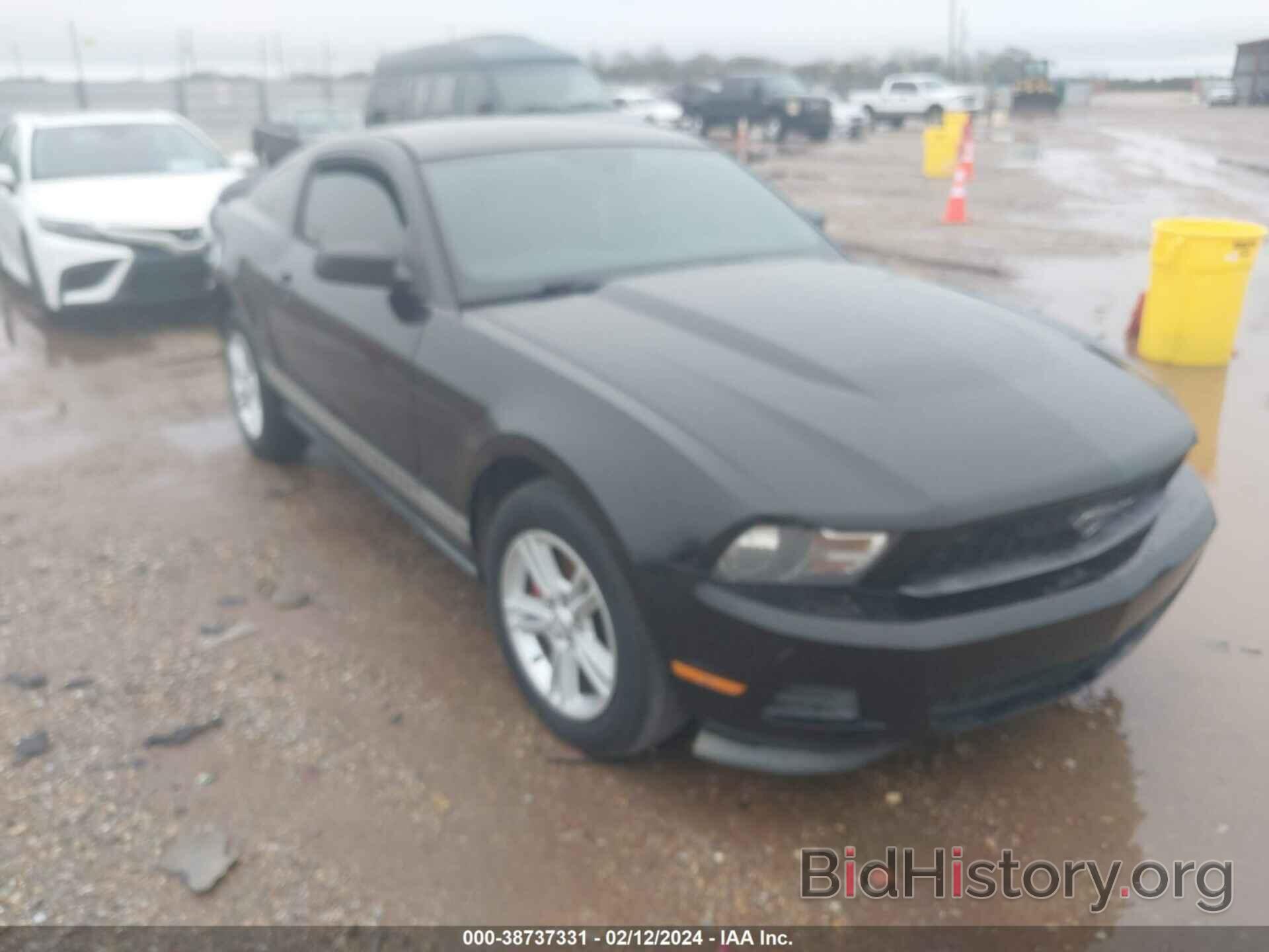 Photo 1ZVBP8AM7C5261344 - FORD MUSTANG 2012
