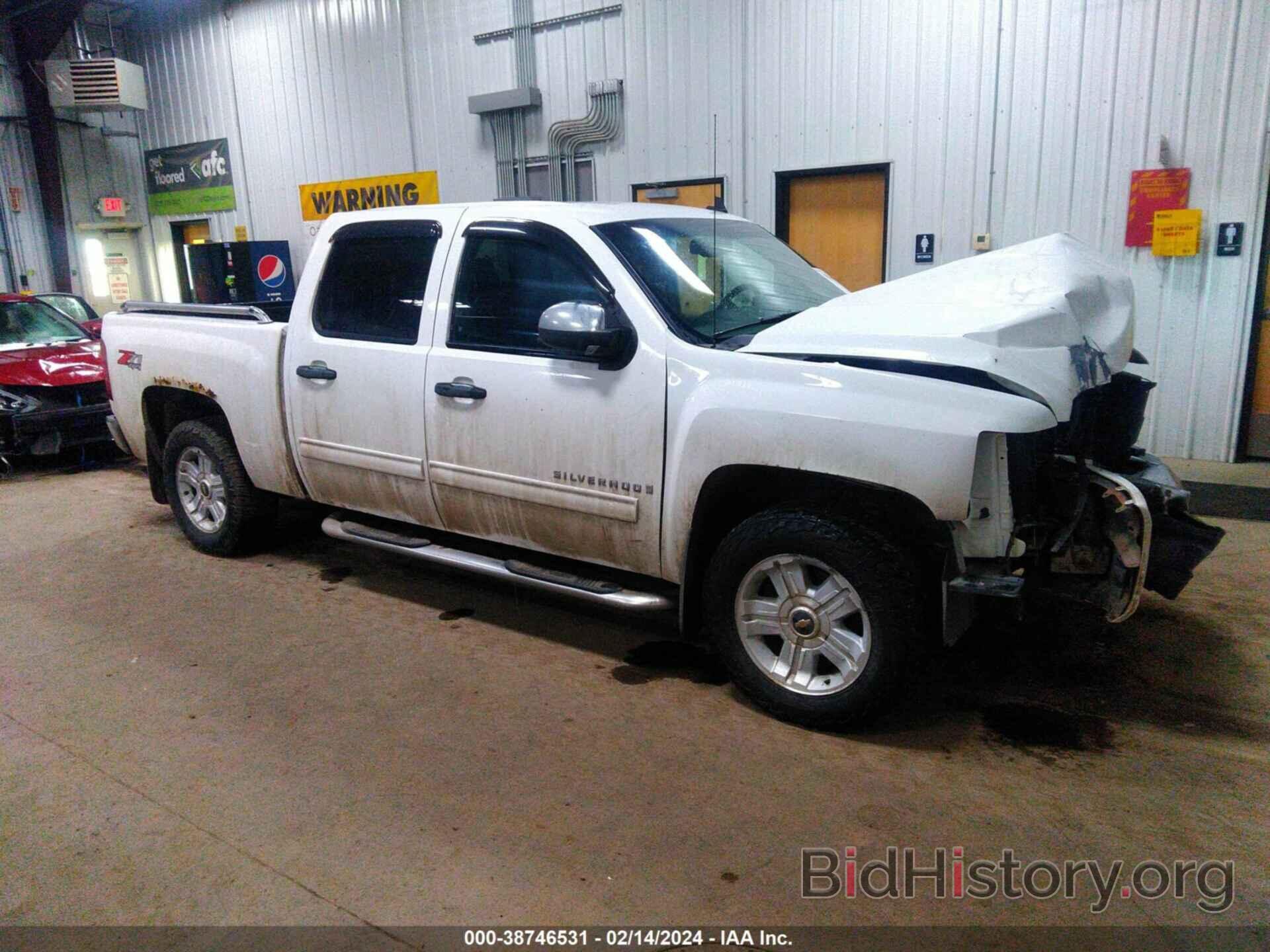 Photo 3GCEK23319G279596 - CHEVROLET SILVERADO 1500 2009