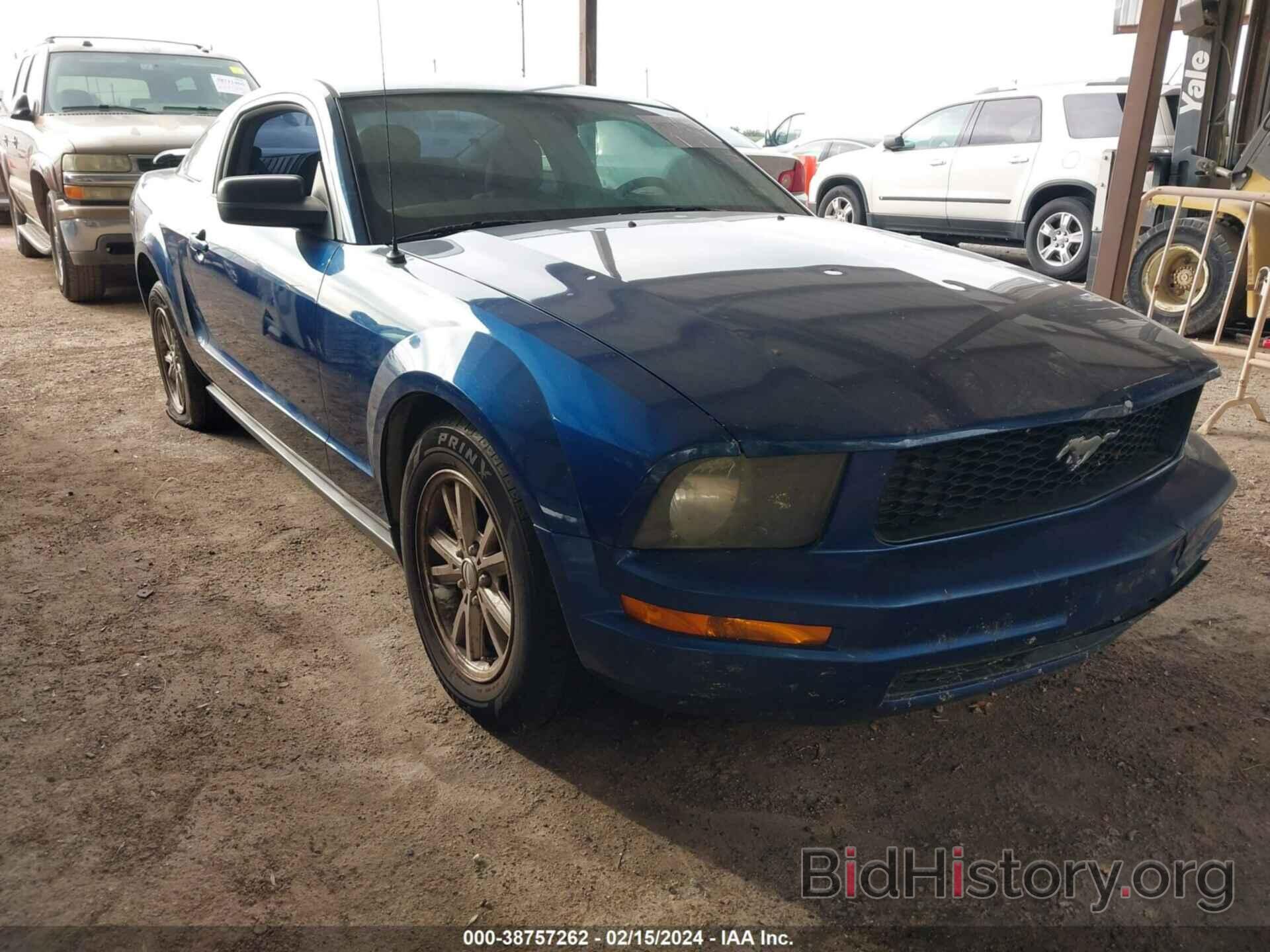 Photo 1ZVHT80N885119074 - FORD MUSTANG 2008