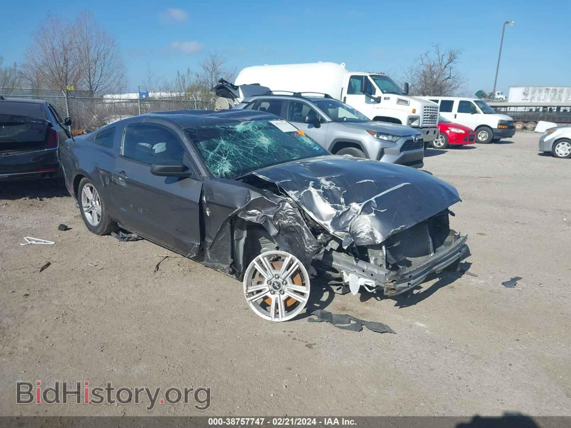 Photo 1ZVBP8AMXE5298164 - FORD MUSTANG 2014