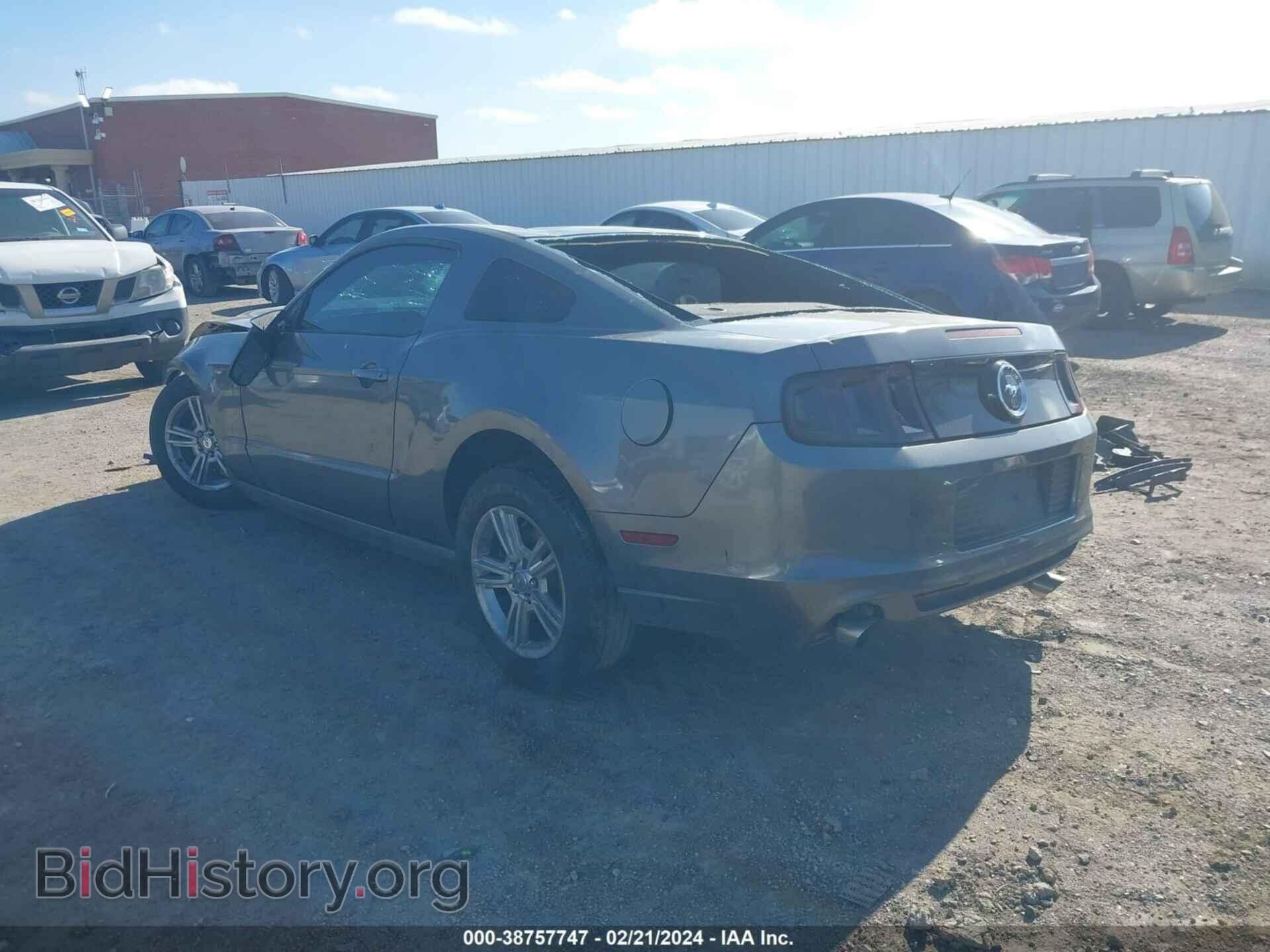 2014 FORD MUSTANG - VIN: 1ZVBP8AMXE5298164 - Фото 3