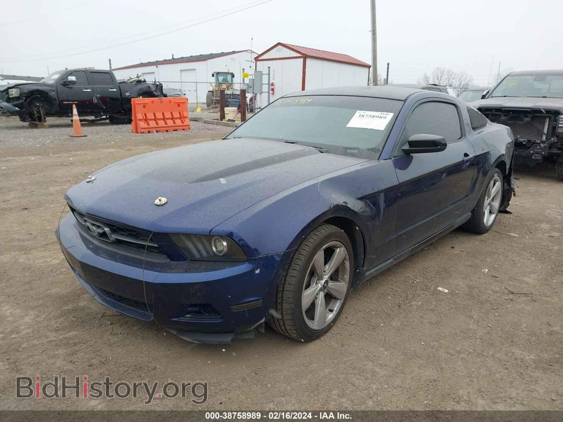 2012 FORD MUSTANG - VIN: 1ZVBP8AMXC5259880 - Фото 2