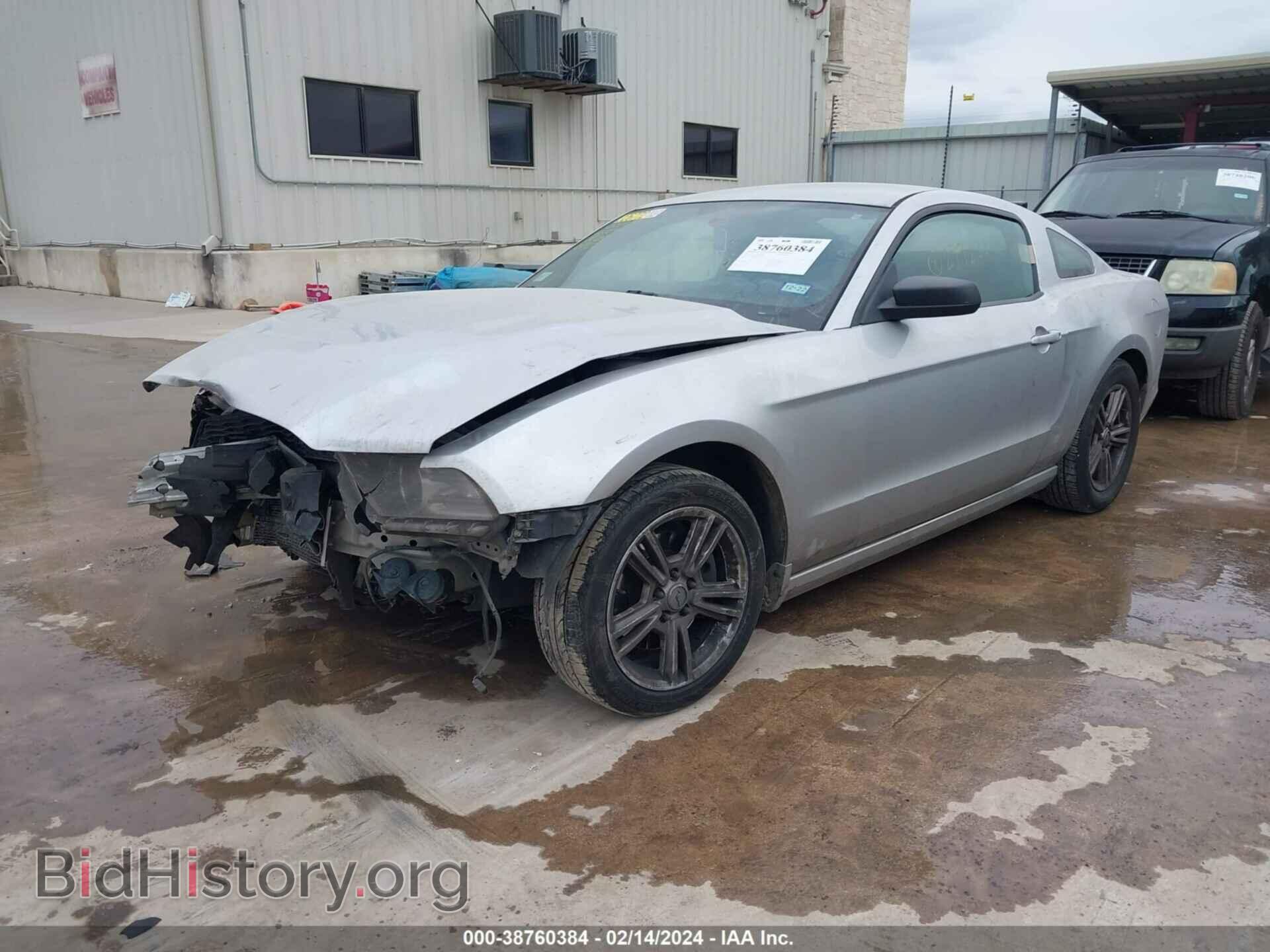 2014 FORD MUSTANG - VIN: 1ZVBP8AM1E5299221 - Фото 2