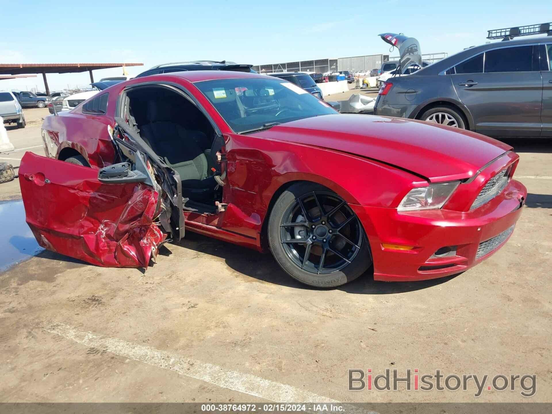 Photo 1ZVBP8AM4E5222004 - FORD MUSTANG 2014