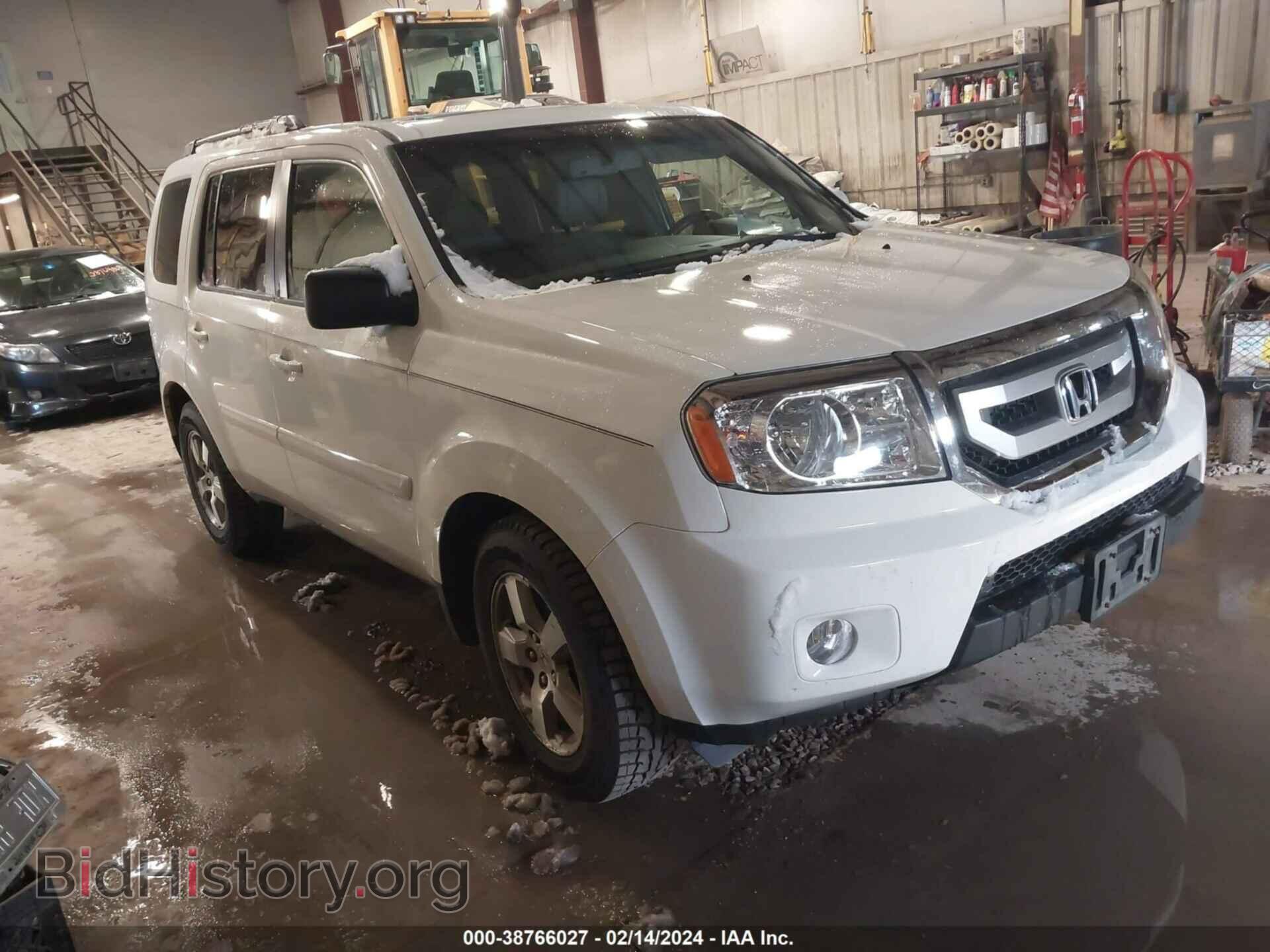 Фотография 5FNYF48549B023448 - HONDA PILOT 2009