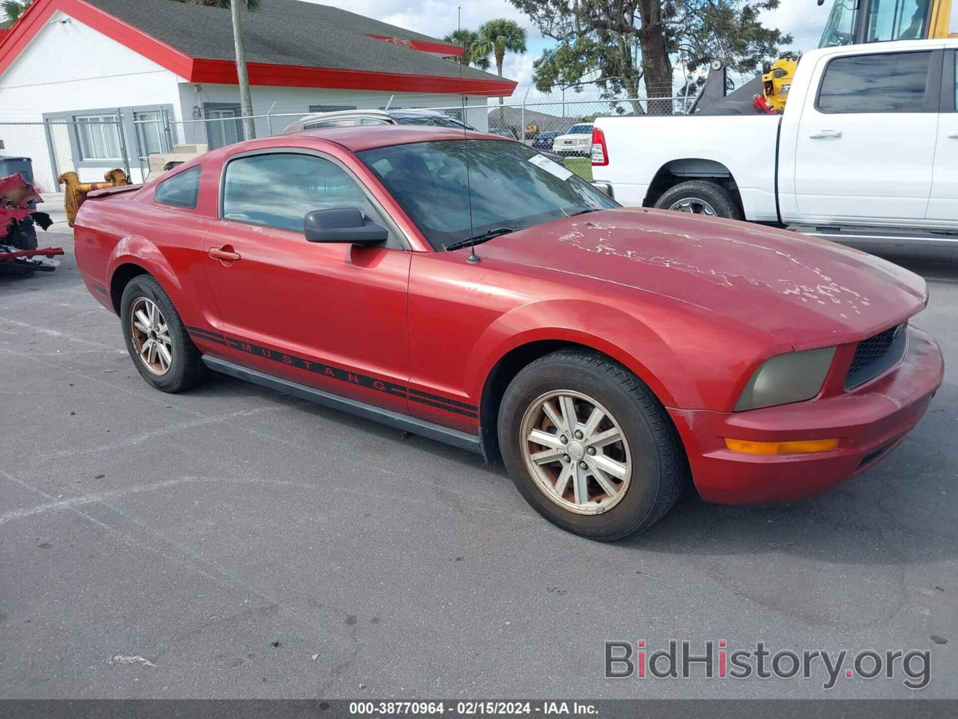 Photo 1ZVHT80N685198678 - FORD MUSTANG 2008