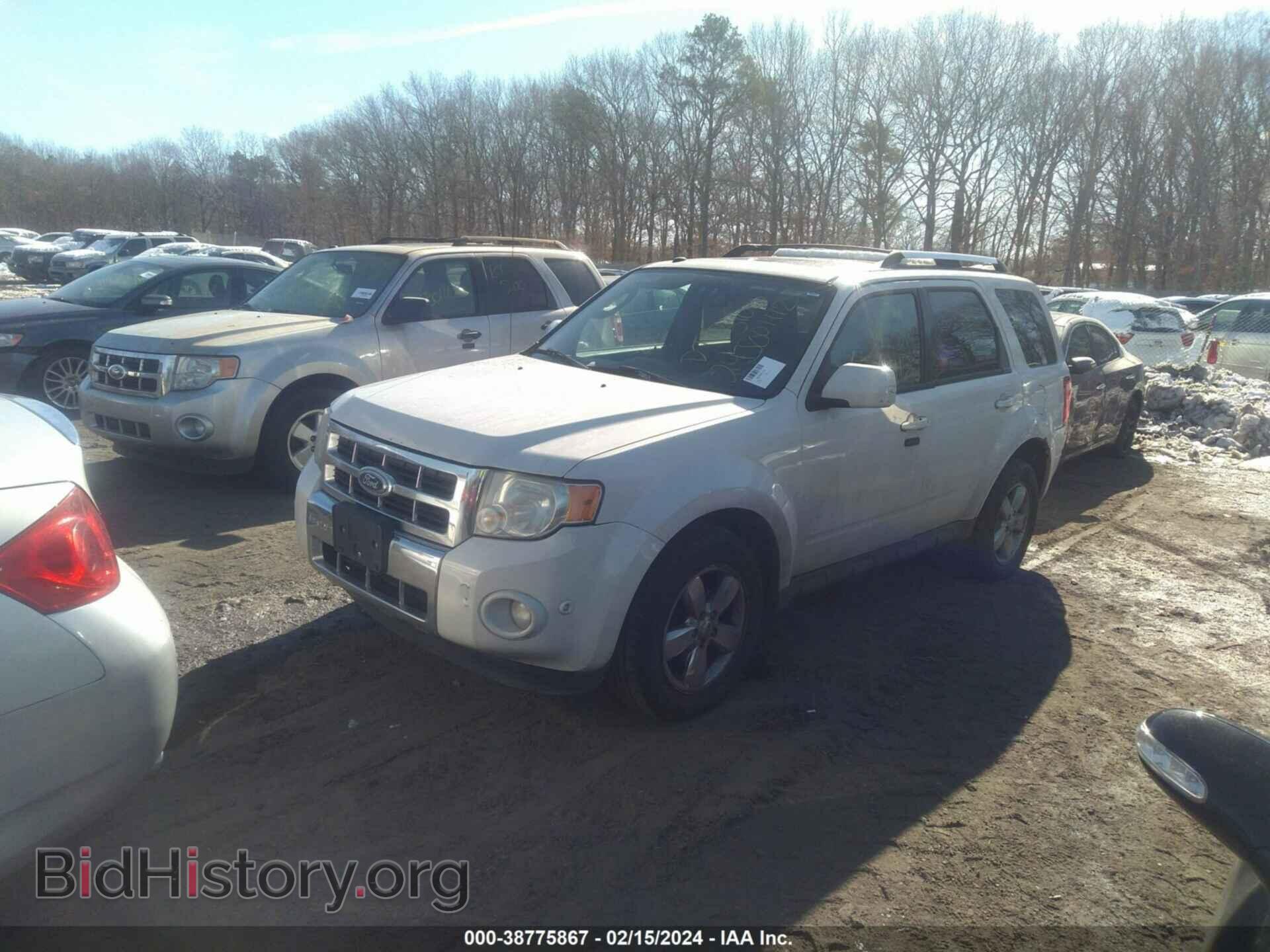 2011 FORD ESCAPE - VIN: 1FMCU9EG4BKB09009 - Фото 2