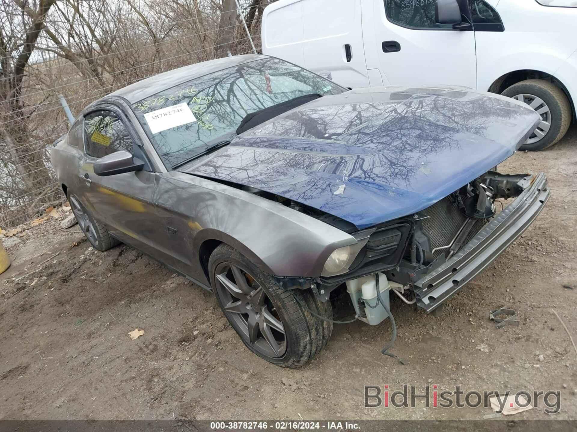 Photo 1ZVBP8CH3A5146303 - FORD MUSTANG 2010