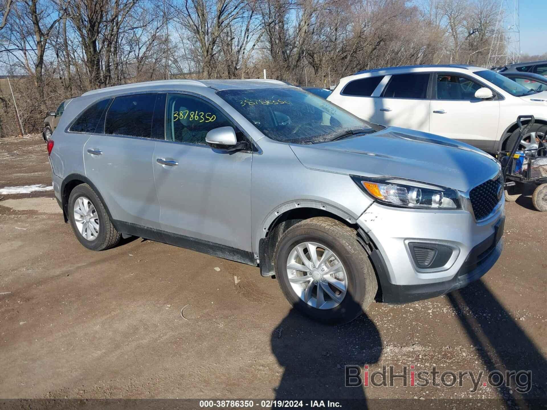 Photo 5XYPG4A33HG261610 - KIA SORENTO 2017