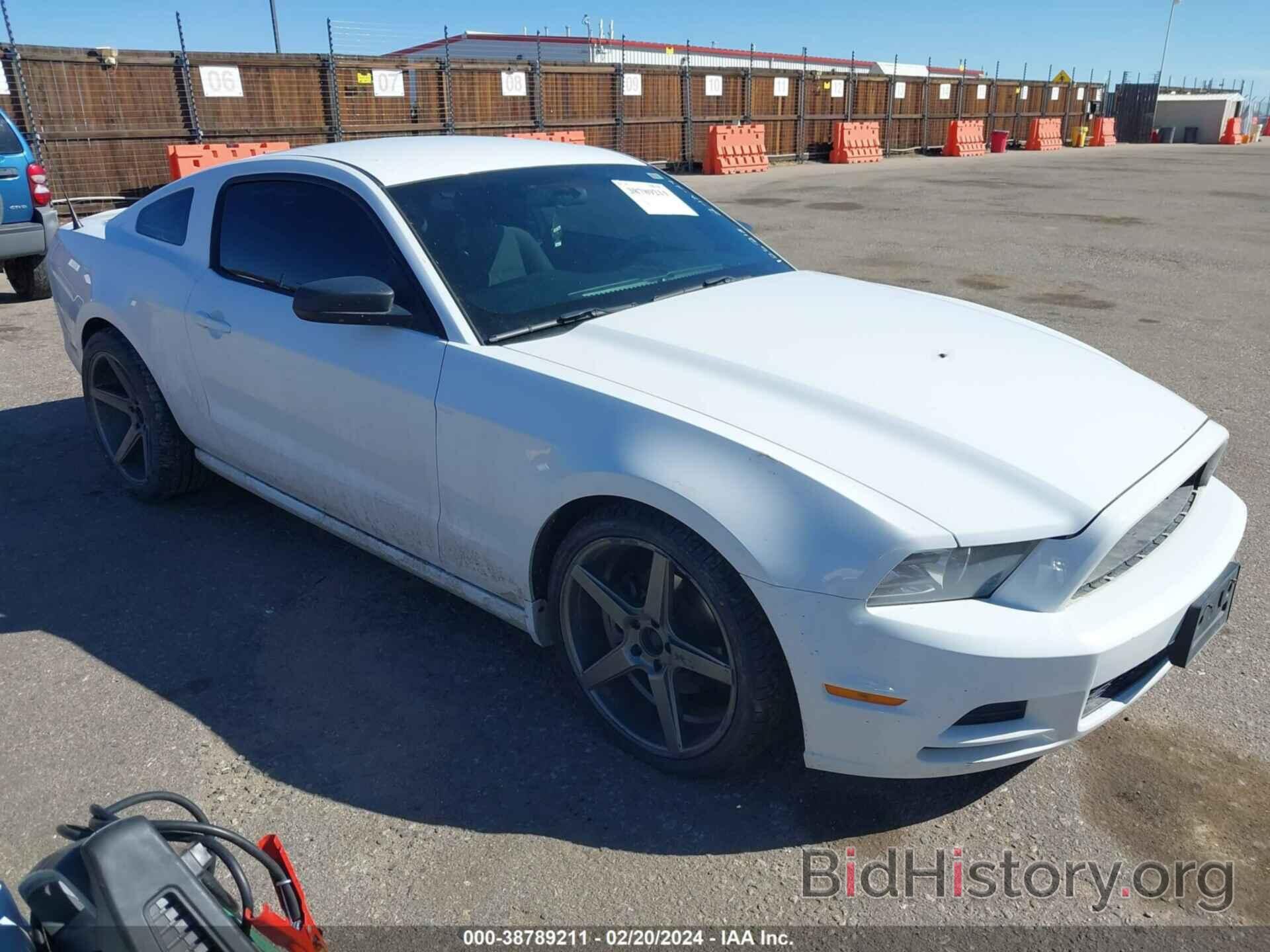 Photo 1ZVBP8AM6E5224417 - FORD MUSTANG 2014