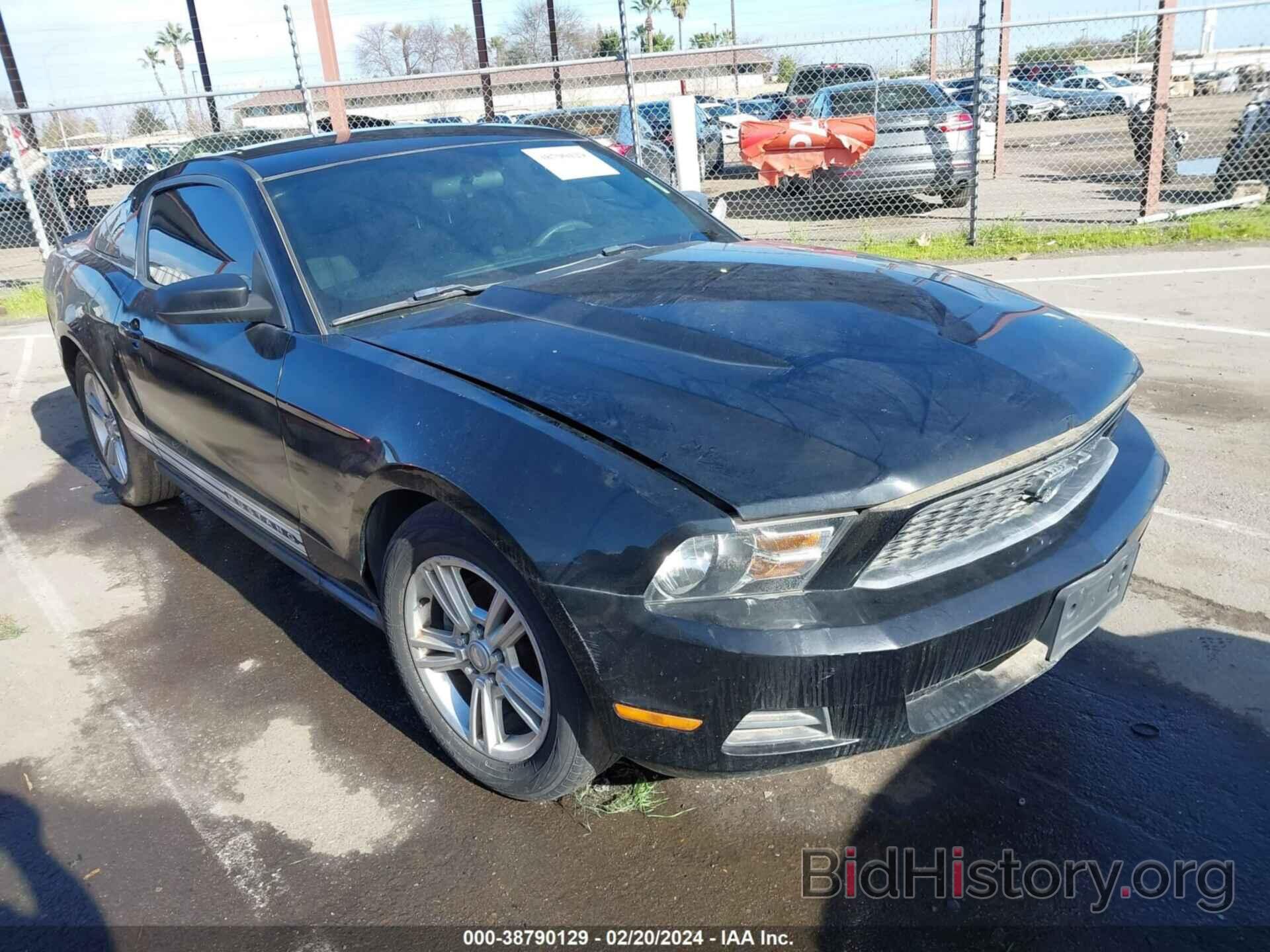 Photo 1ZVBP8AN6A5181071 - FORD MUSTANG 2010