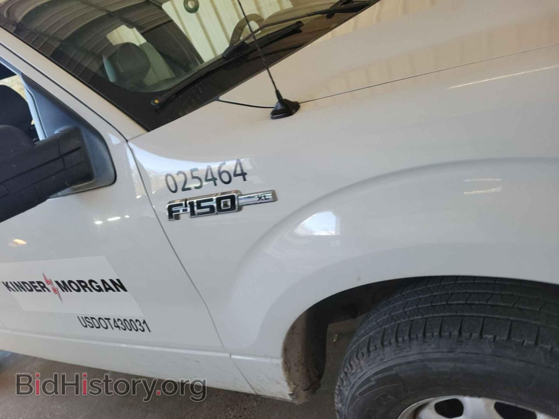 2011 FORD F-150 - VIN: 1FTFX1EF0BFA15641 - Фото 6