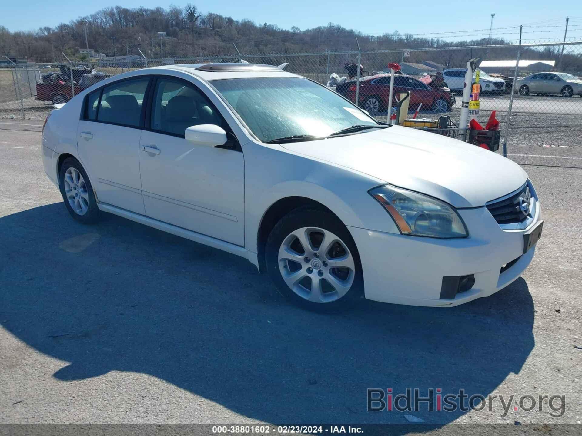 Photo 1N4BA41E68C804844 - NISSAN MAXIMA 2008