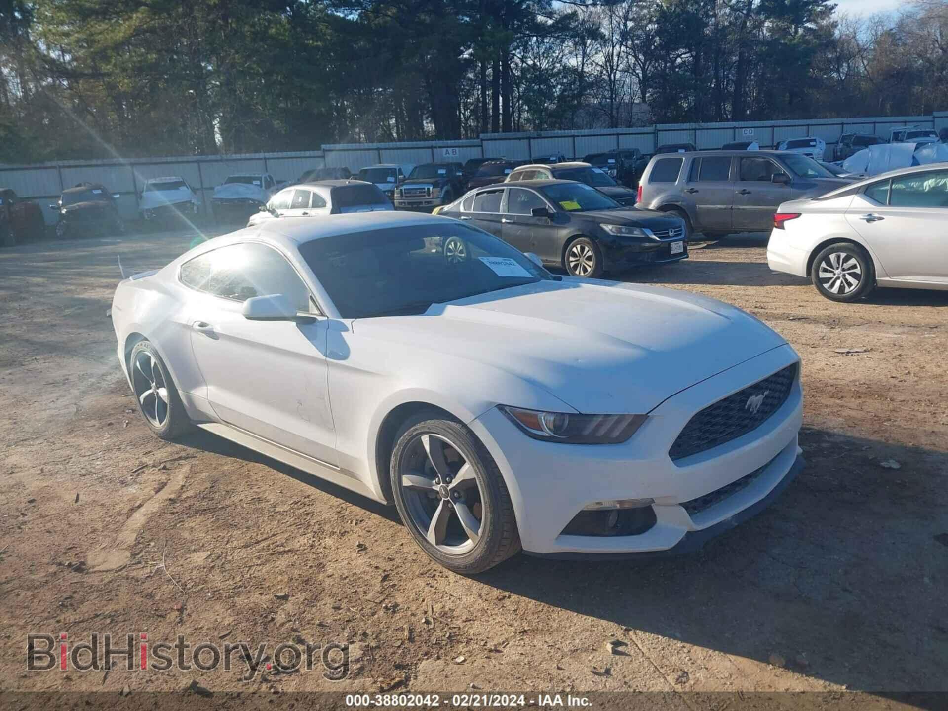 Photo 1FA6P8TH5H5235228 - FORD MUSTANG 2017