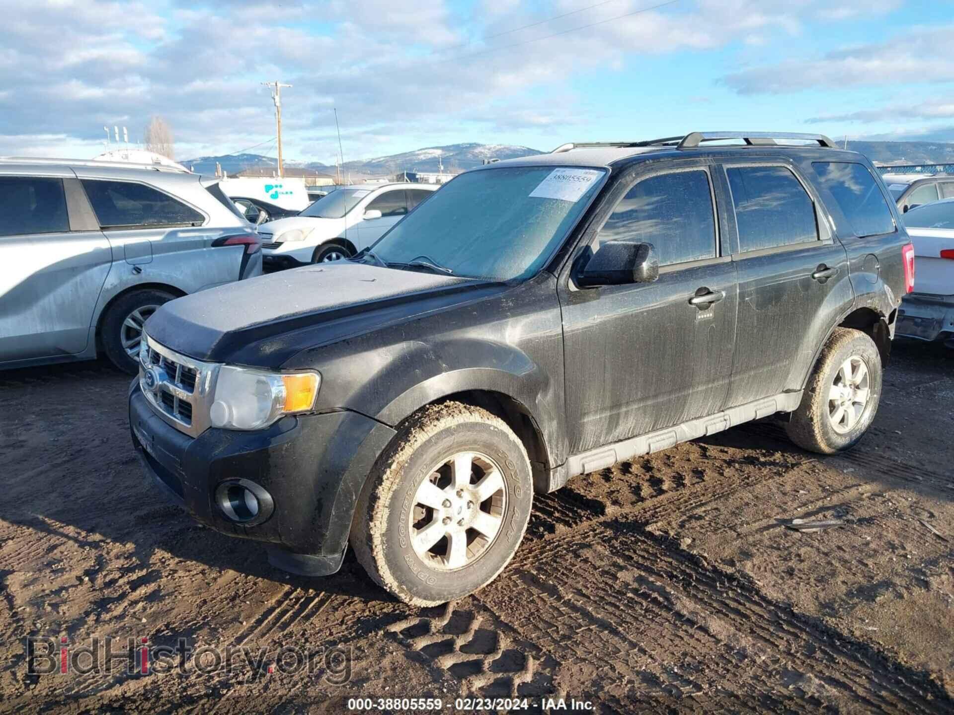 2011 FORD ESCAPE - VIN: 1FMCU9EG9BKC43580 - Фото 2