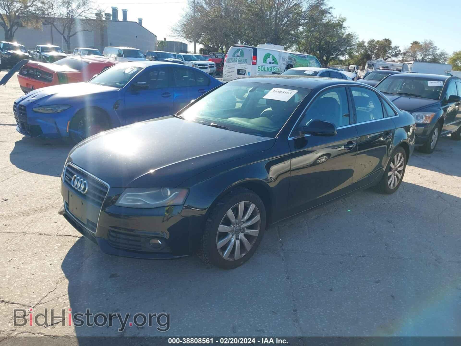 2010 AUDI A4 - VIN: WAUFFAFL3AN062929 - Фото 2