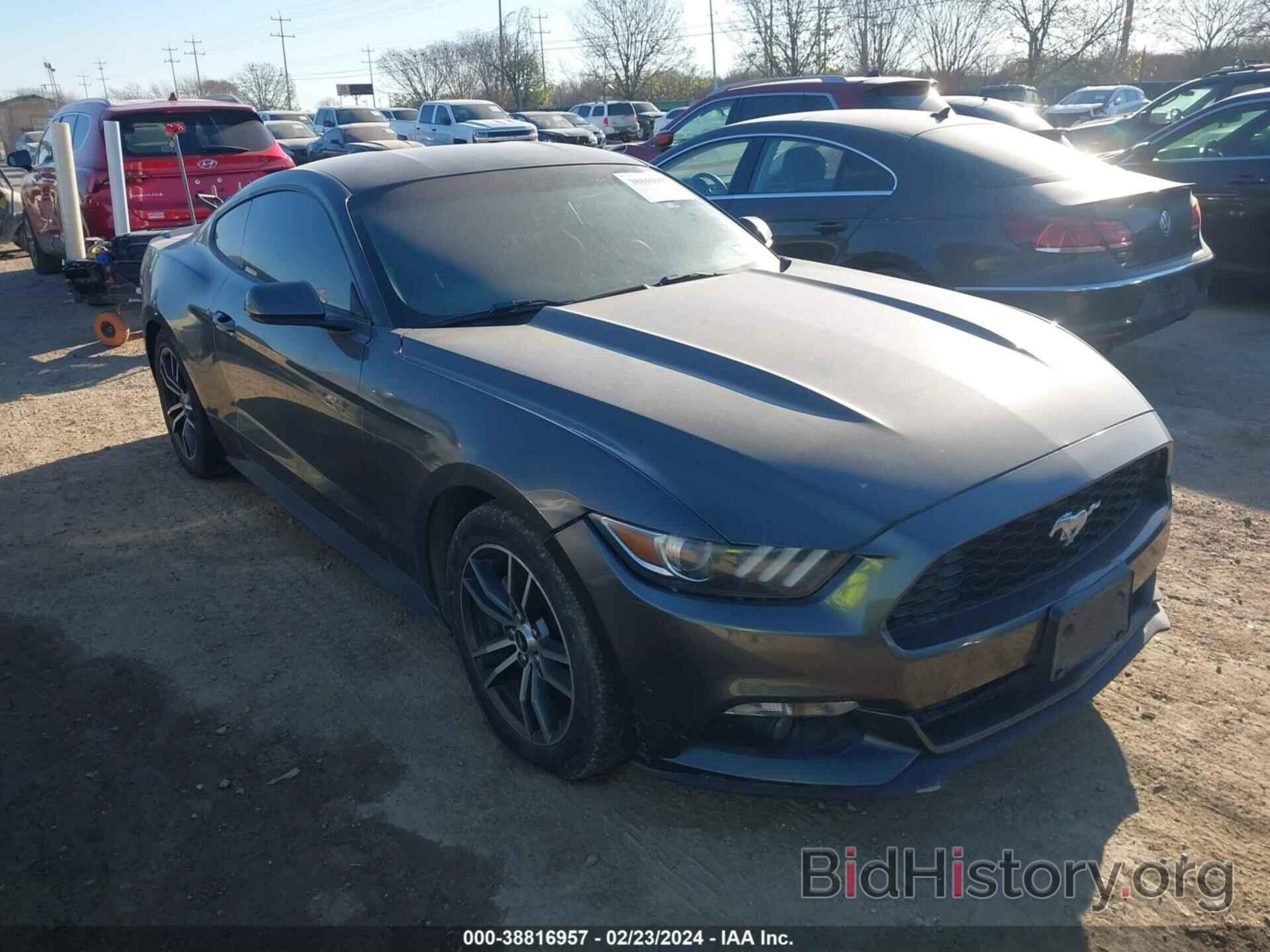 Photo 1FA6P8TH2H5226096 - FORD MUSTANG 2017