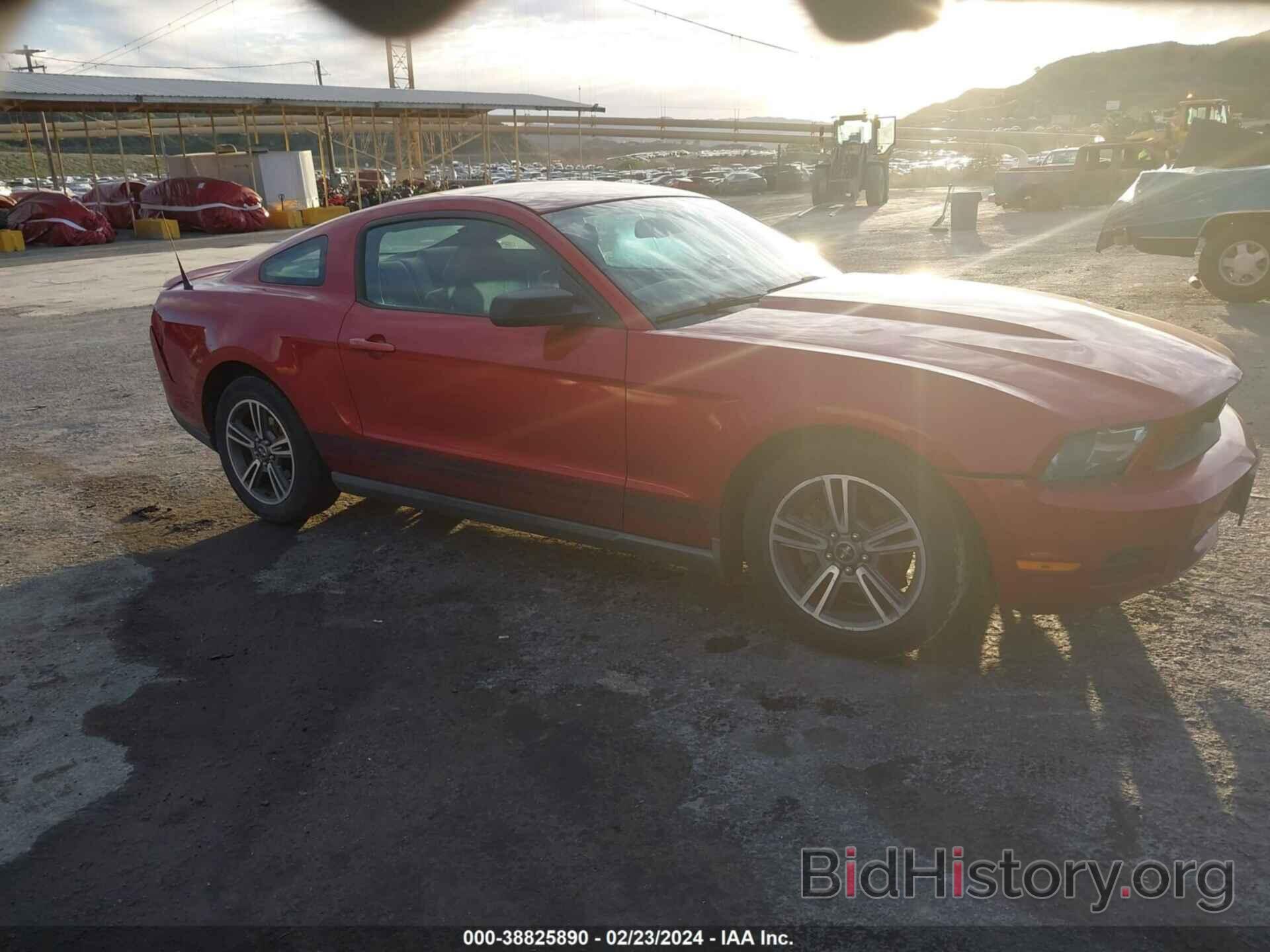 Photo 1ZVBP8AN9A5107319 - FORD MUSTANG 2010