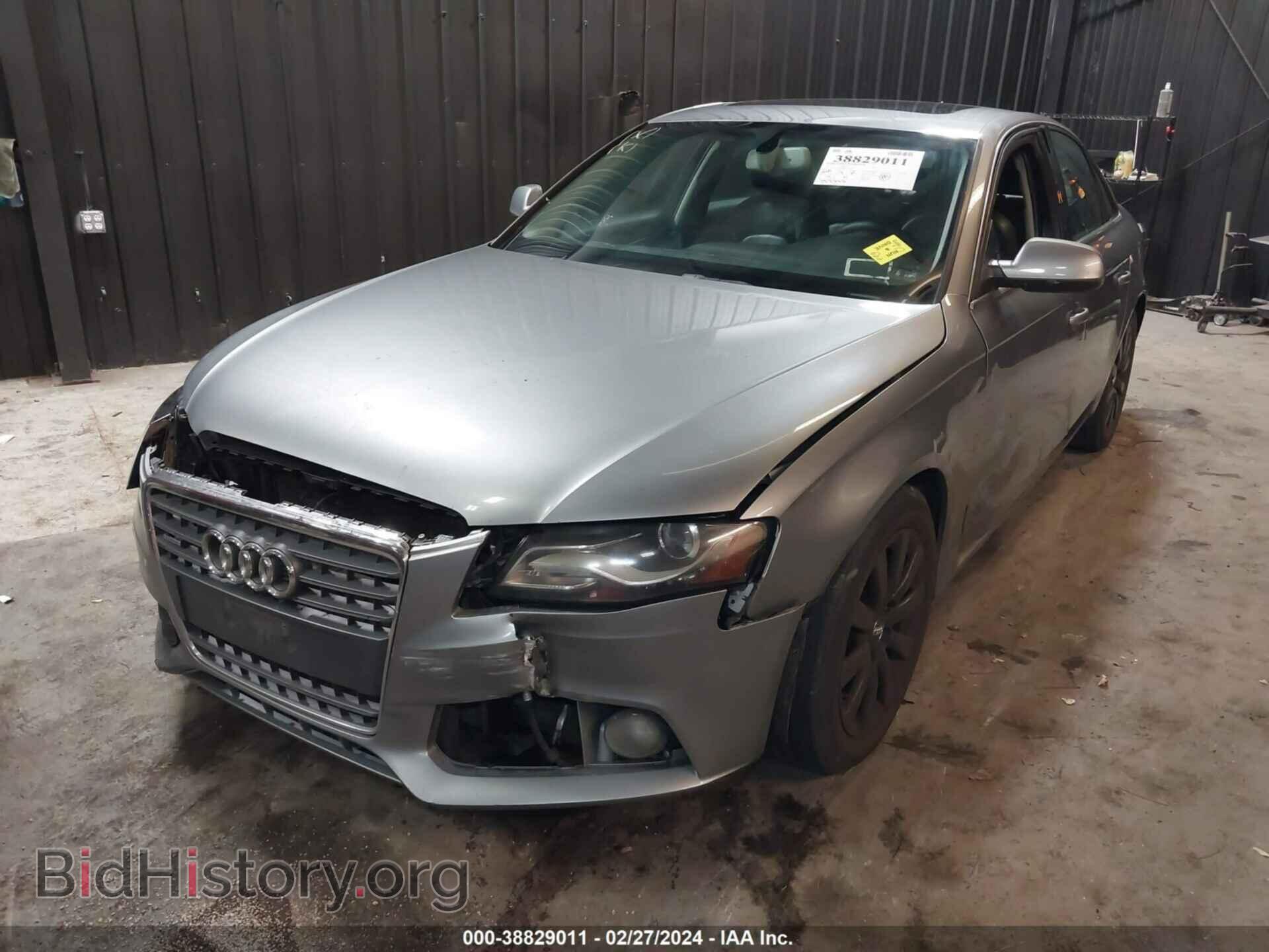 2011 AUDI A4 - VIN: WAUFFAFL8BN011380 - Фото 2