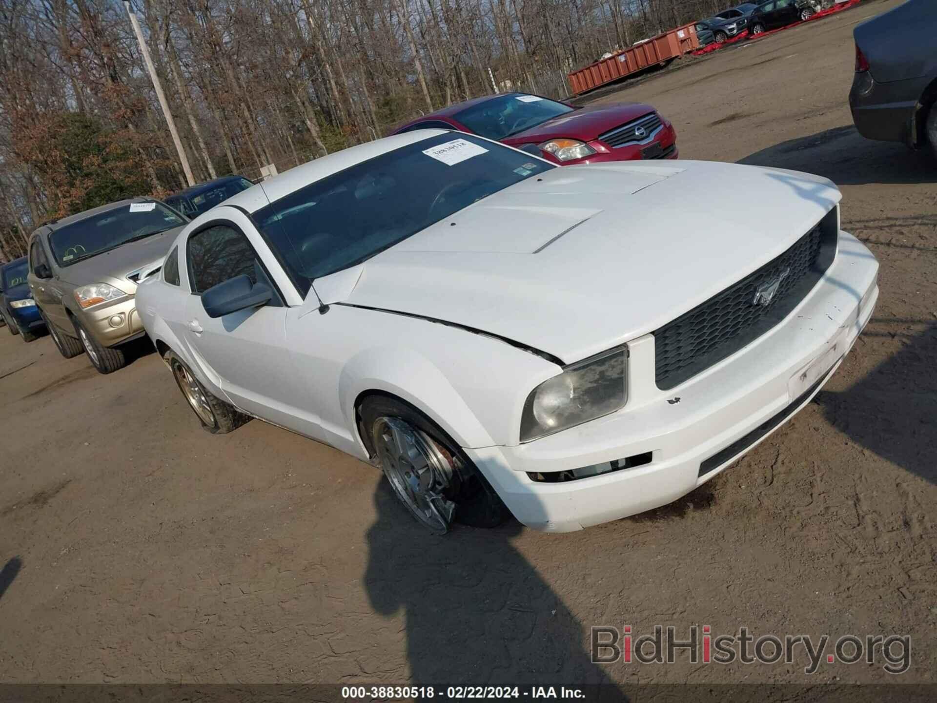 Photo 1ZVFT80N665163207 - FORD MUSTANG 2006