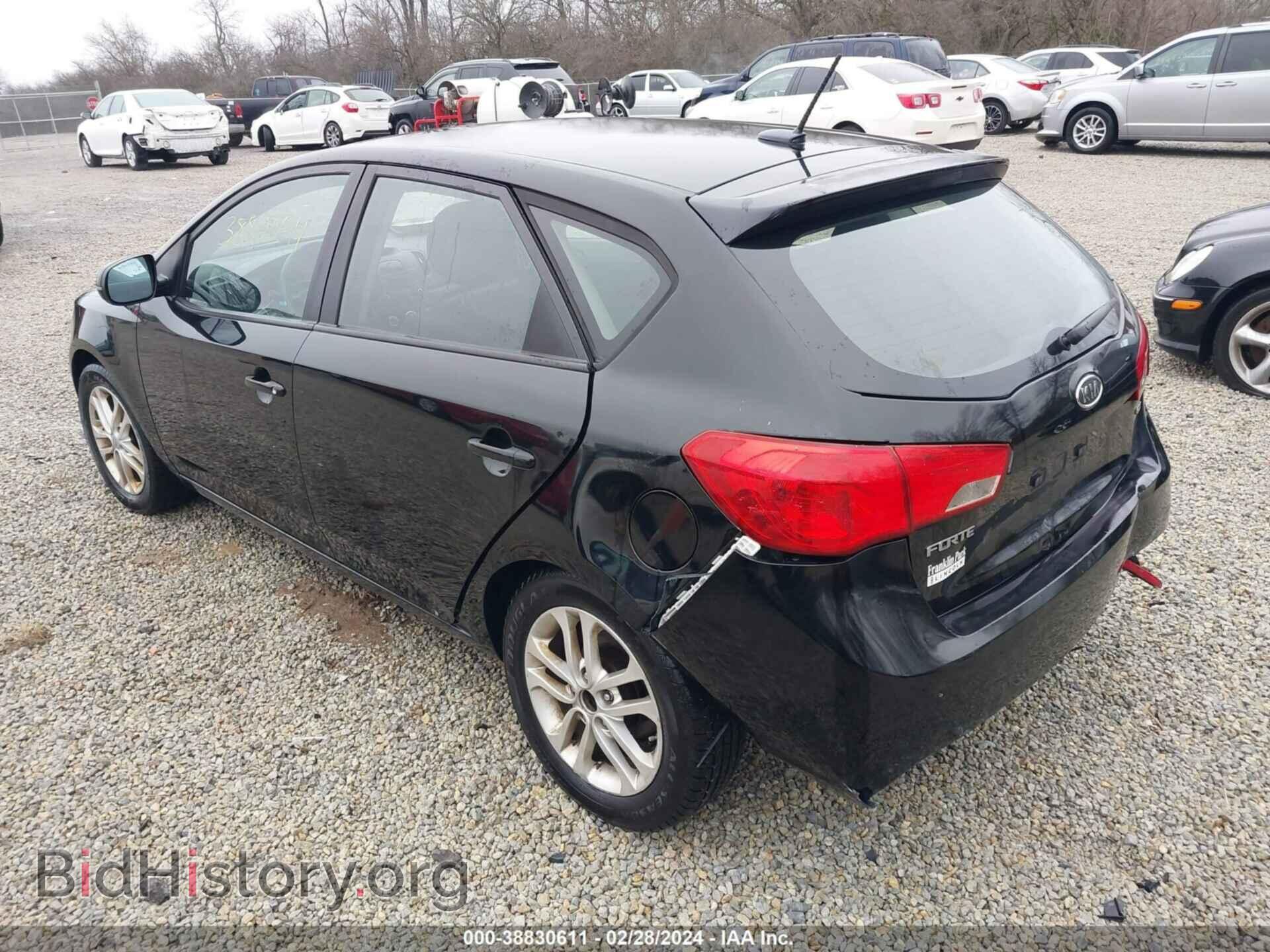 2011 KIA FORTE - VIN: KNAFU5A29B5378669 - Фото 3