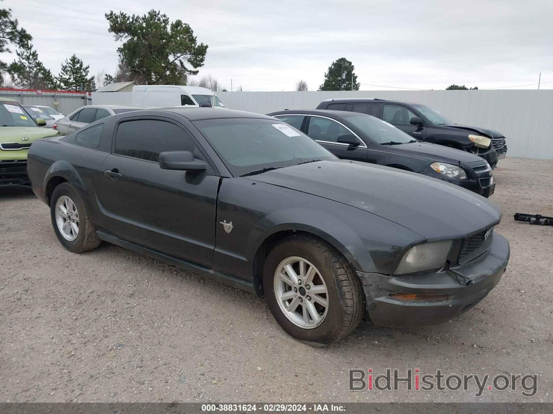 Photo 1ZVHT80N895144915 - FORD MUSTANG 2009