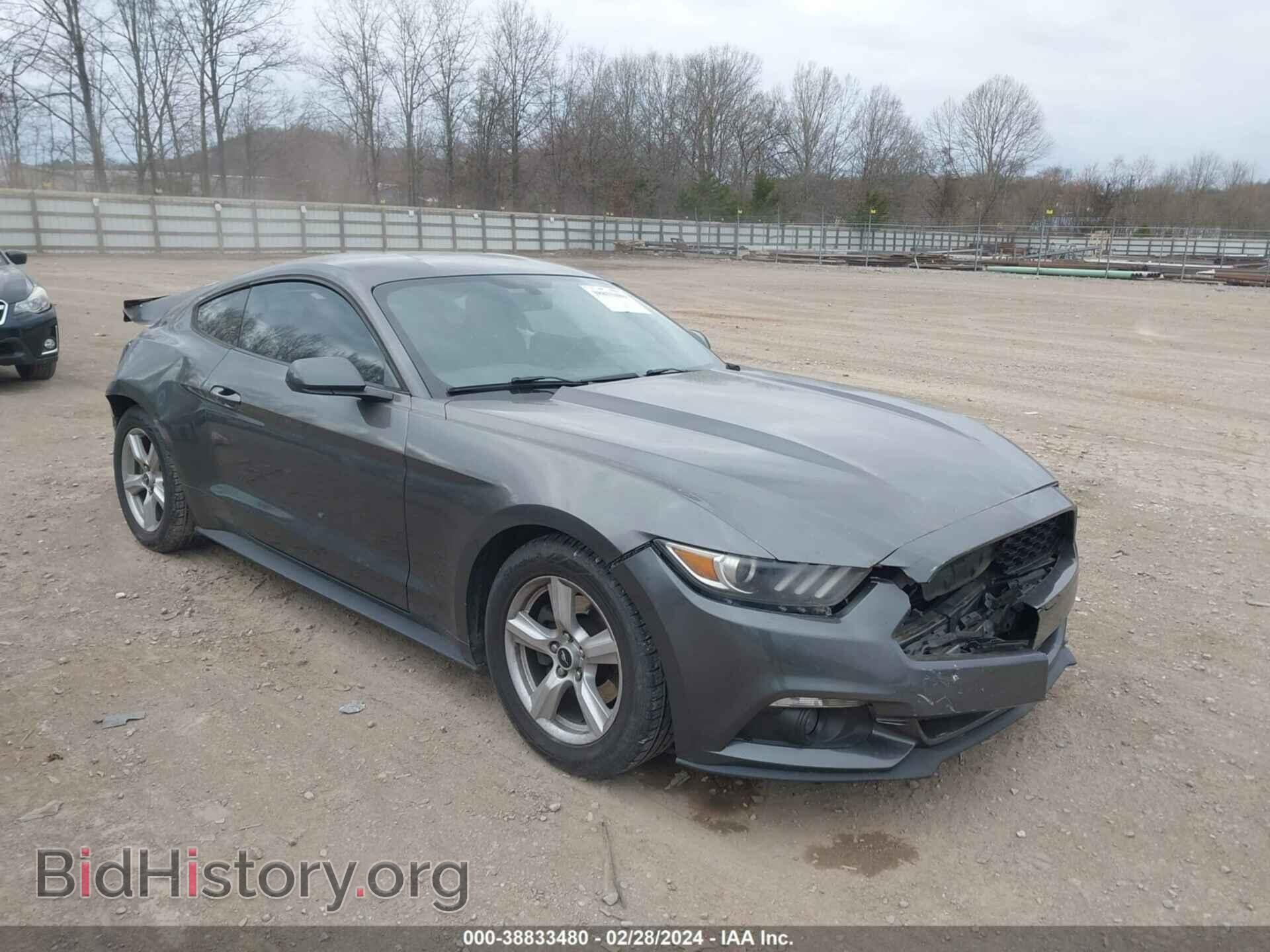 Фотография 1FA6P8TH5F5365698 - FORD MUSTANG 2015