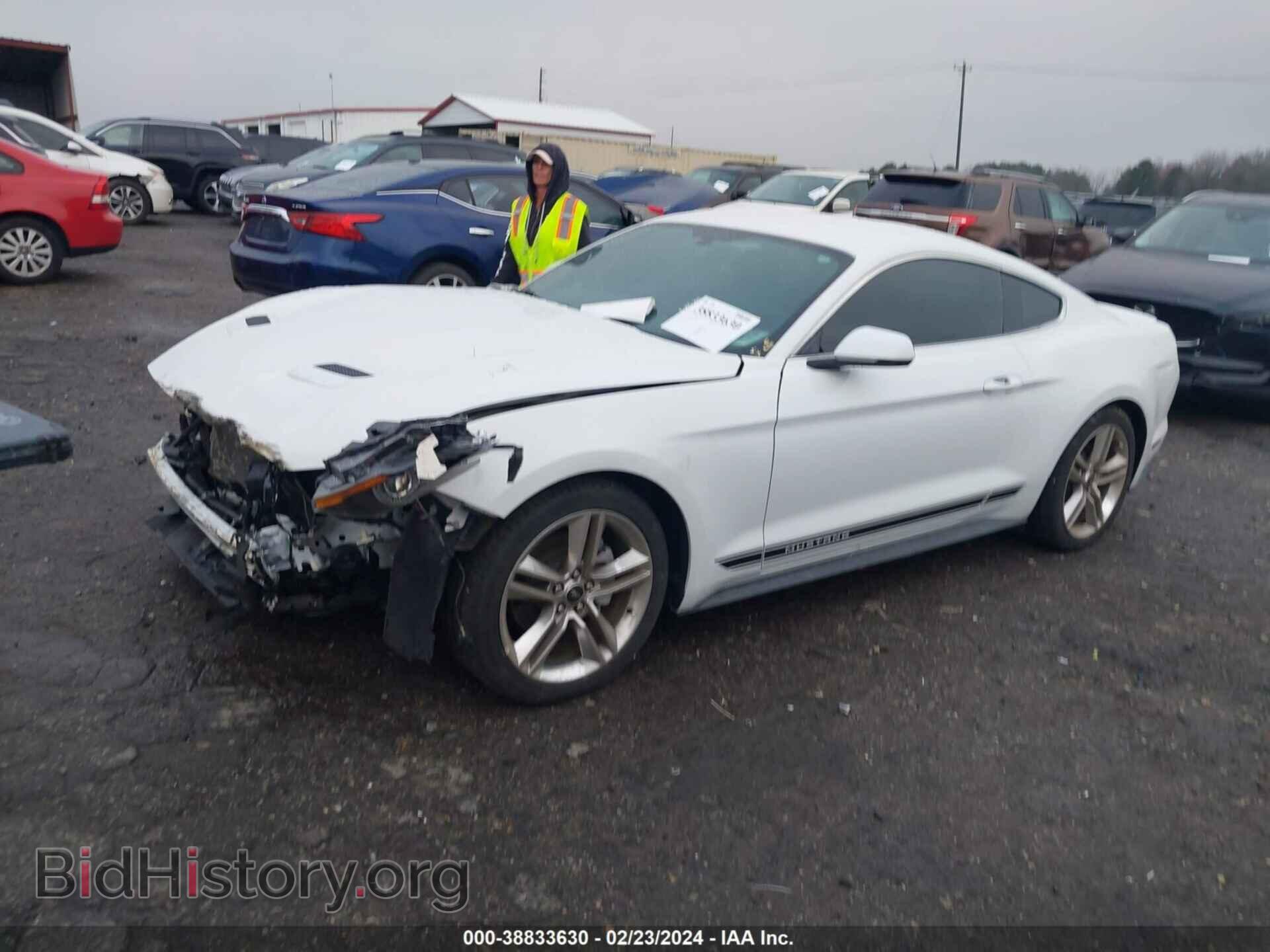 2019 FORD MUSTANG - VIN: 1FA6P8TH3K5166319 - Фото 2