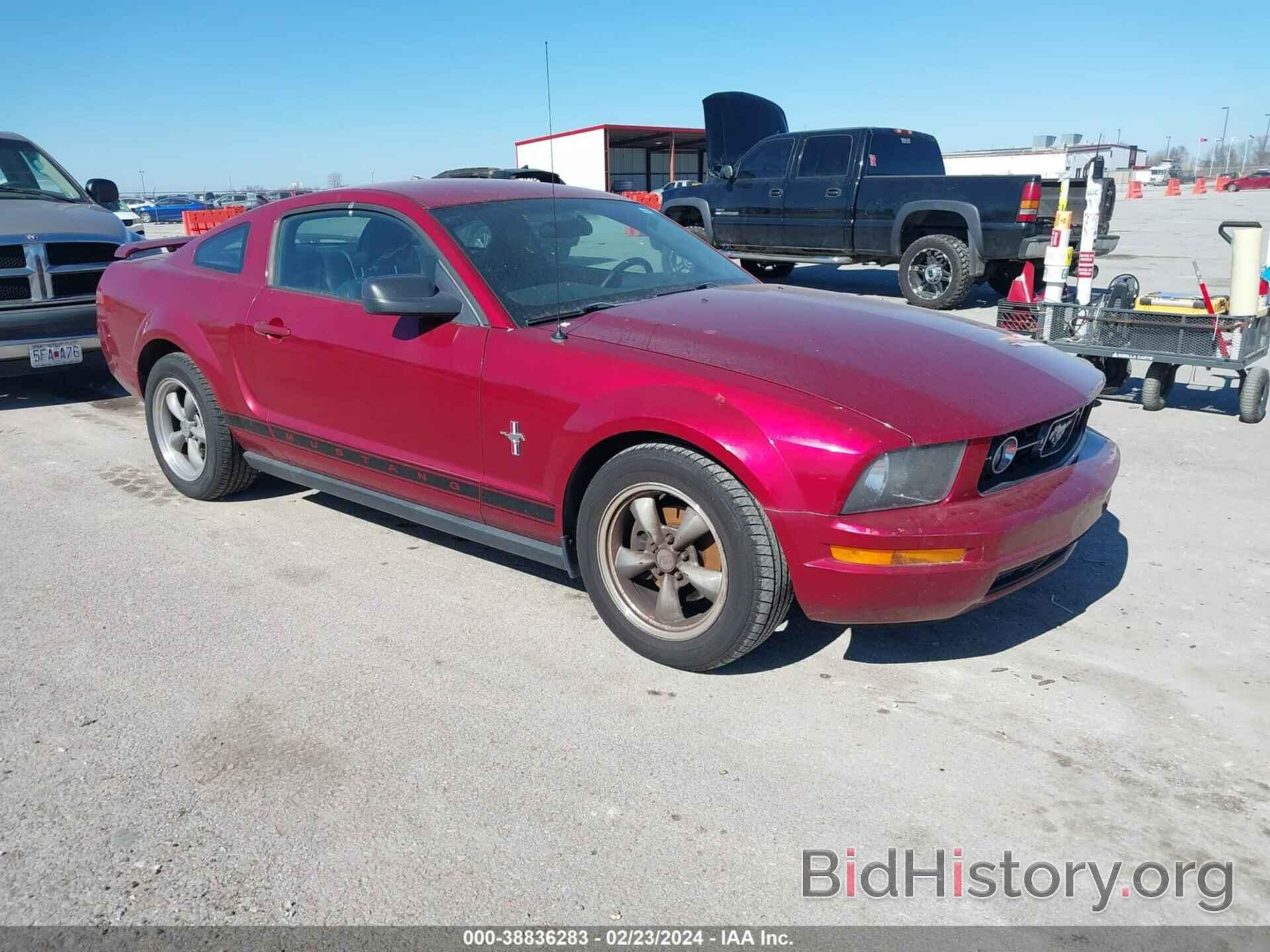 Photo 1ZVHT80NX65167849 - FORD MUSTANG 2006