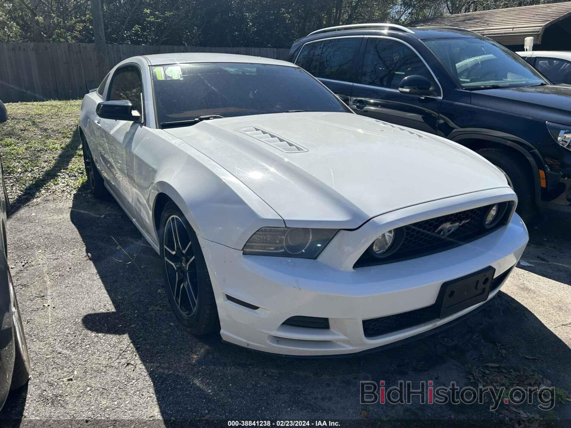 Photo 1ZVBP8CF4E5298157 - FORD MUSTANG 2014