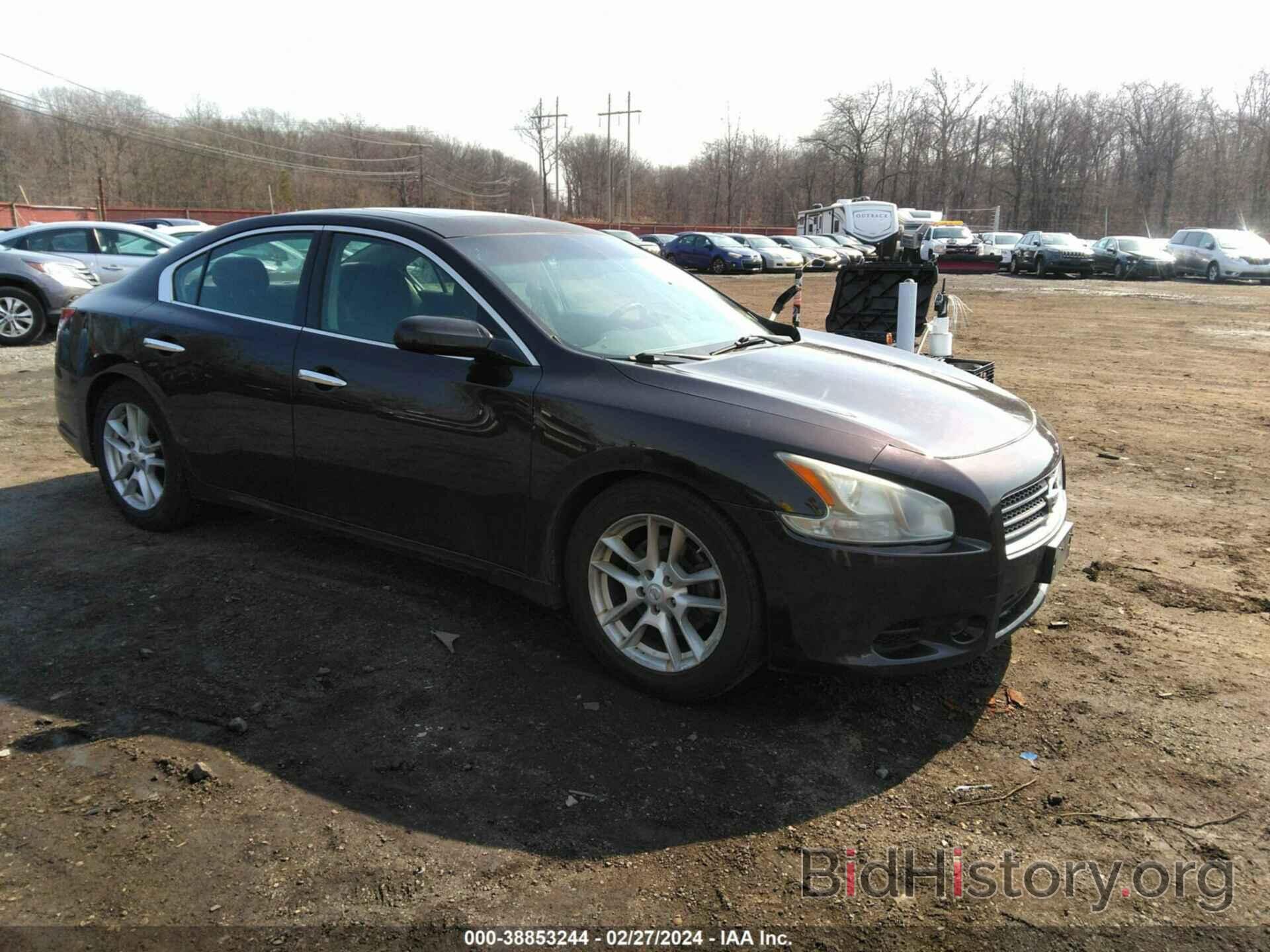 Photo 1N4AA5AP1AC838179 - NISSAN MAXIMA 2010