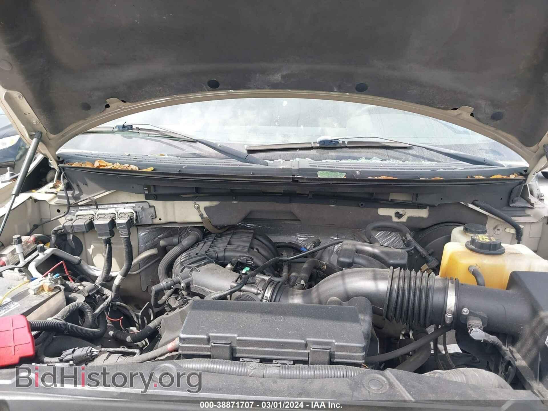 2013 FORD F-150 - VIN: 1FTEW1CM7DFD34585 - Photo 10
