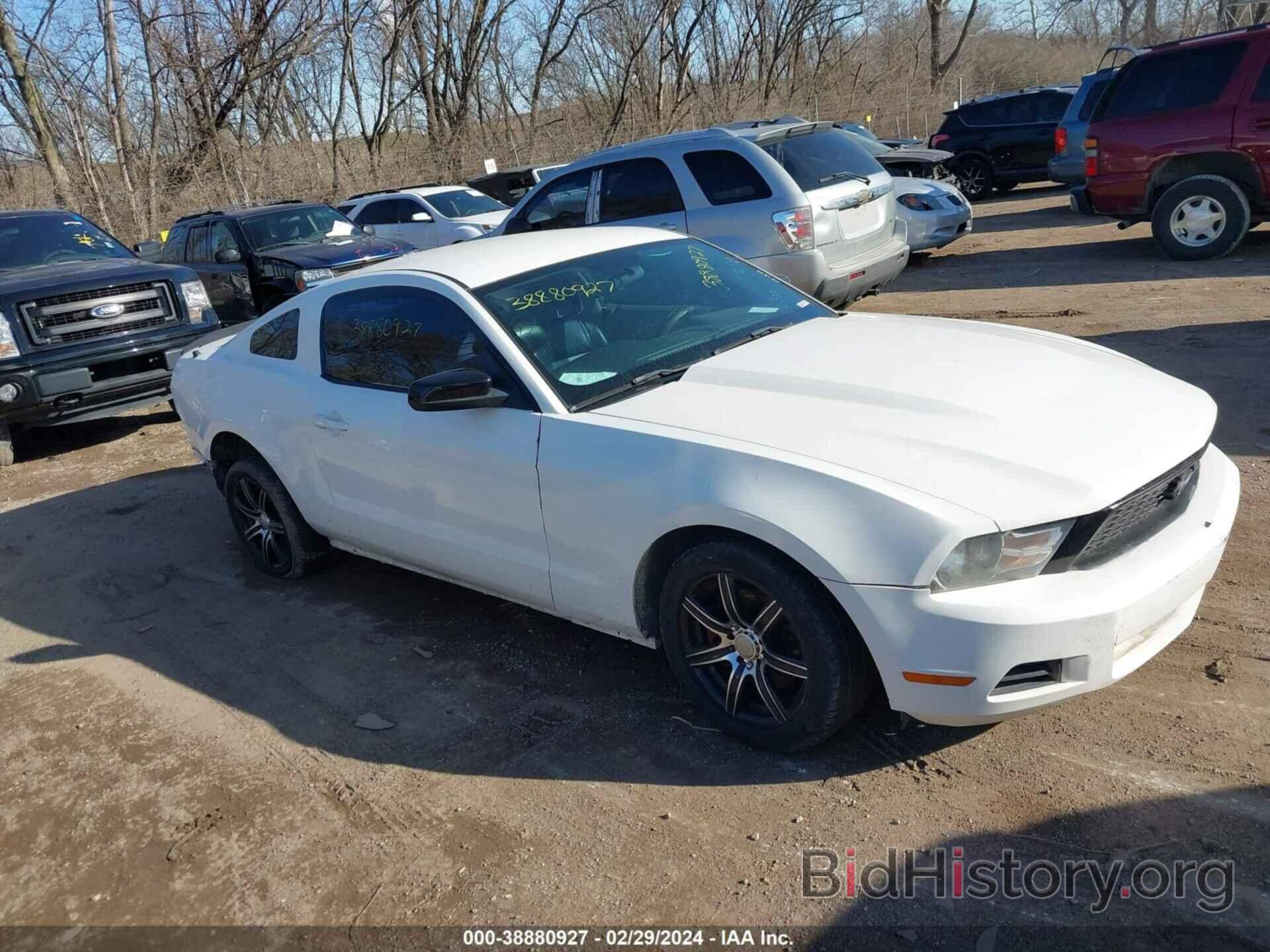 Photo 1ZVBP8AN6A5156218 - FORD MUSTANG 2010