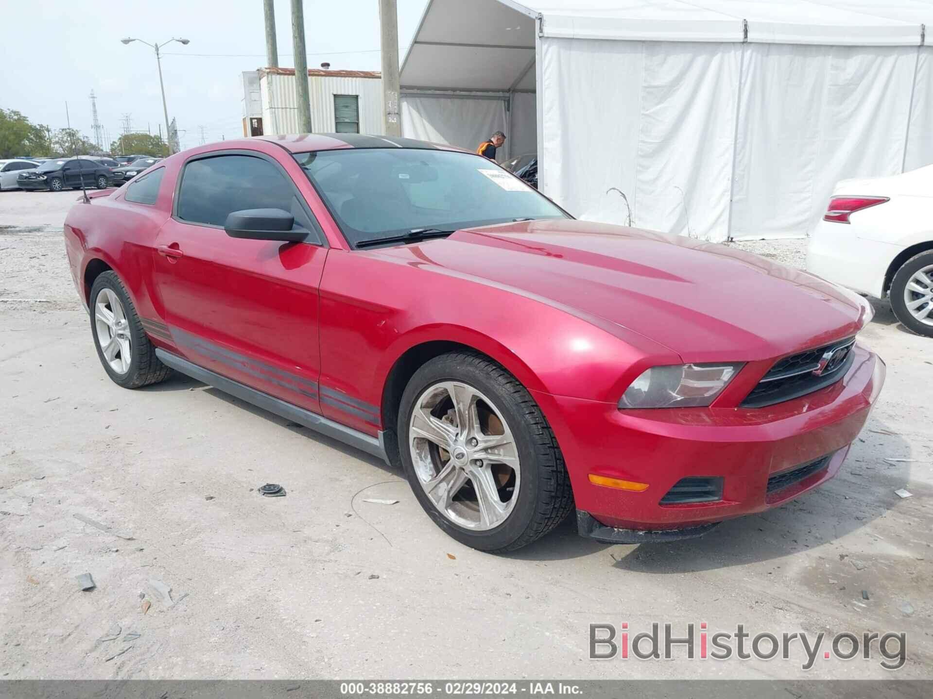 Photo 1ZVBP8AN6A5176713 - FORD MUSTANG 2010