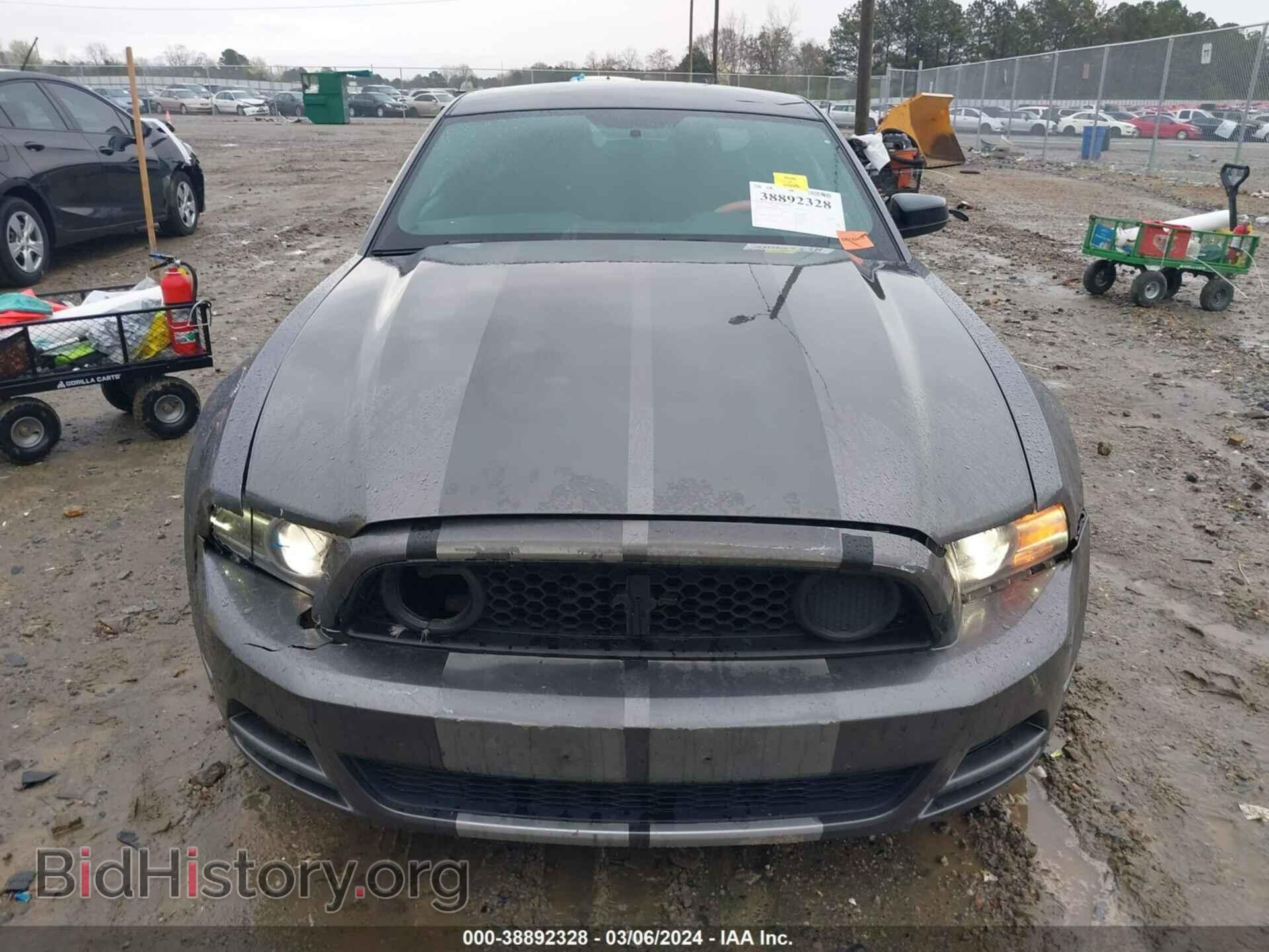 2014 FORD MUSTANG - VIN: 1ZVBP8AM4E5282588 - Фото 12