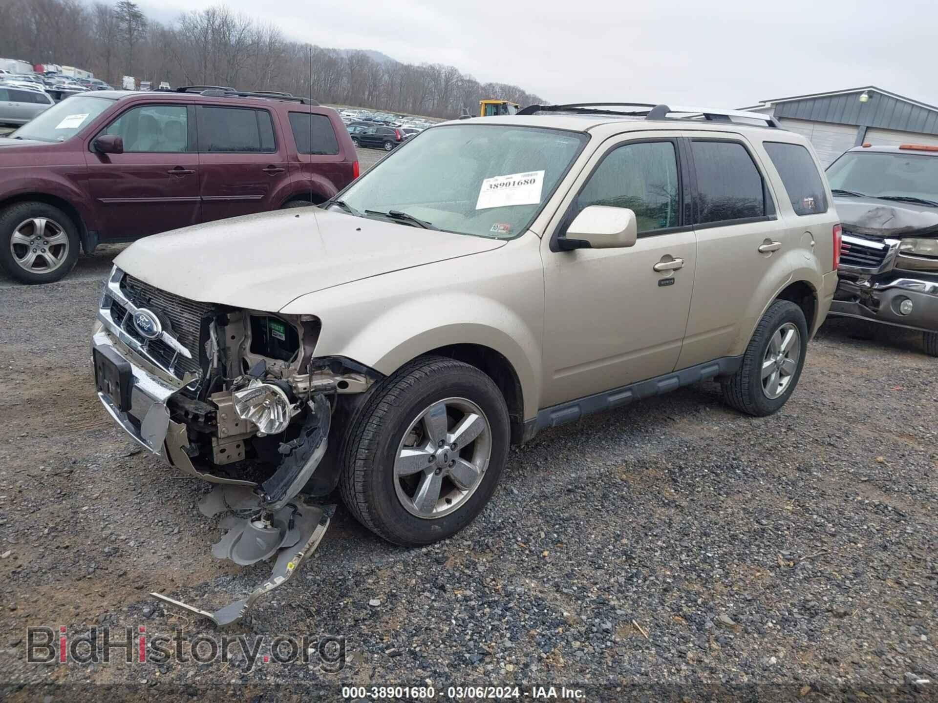 2011 FORD ESCAPE - VIN: 1FMCU9EG3BKA85902 - Фото 2