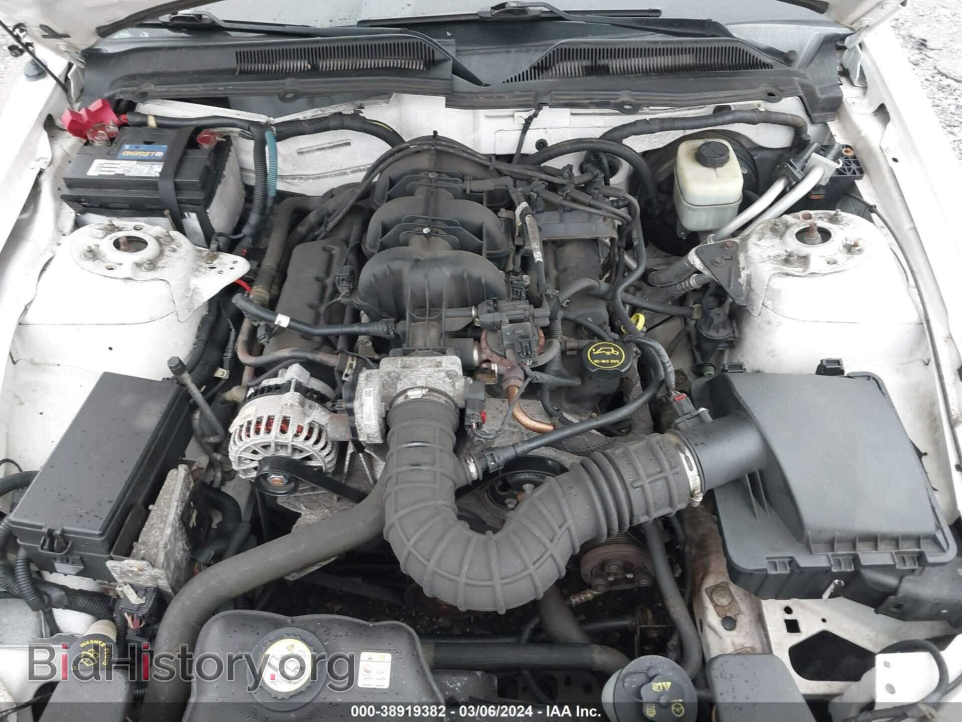 2006 FORD MUSTANG - VIN: 1ZVFT80N265149059 - Фото 10